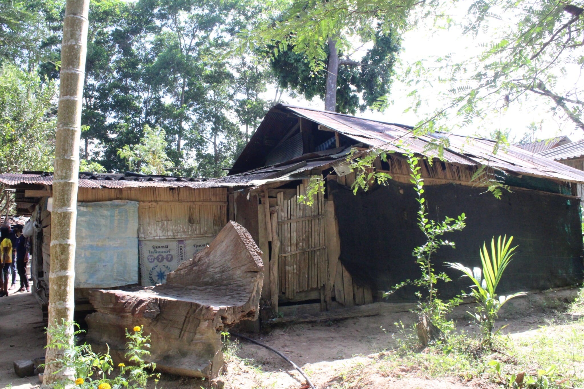 รวมพลังจิตอาสา..ที่ท่าชนะ กิจกรรมเนื่องในวาระครบรอบ 53 ปี โครงการพัฒนาผู้นำอาสาพัฒนาชุมชน และ ร่วมทำกิจกรรมพัฒนาคุณภาพชีวิตครัวเรือนยากจน TPMAP