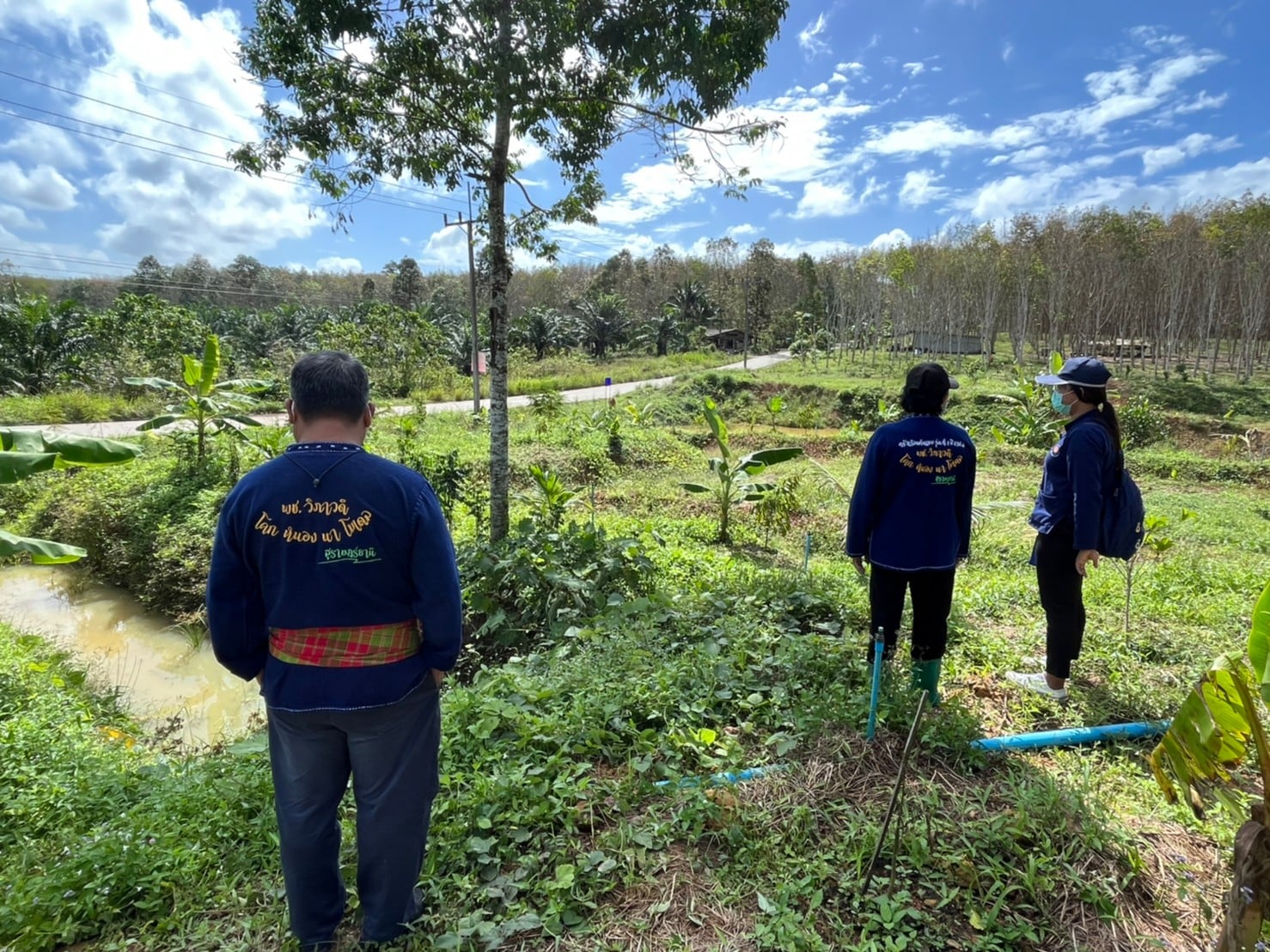 พช.สุราษฎร์ฯ ลงพื้นที่ผลิตสื่อประชาสัมพันธ์ ในโครงการพัฒนาคุณภาพชีวิตตามหลักเกษตรทฤษฎีใหม่ ประยุกต์ “โคก หนองนา โมเดล (พช.)”