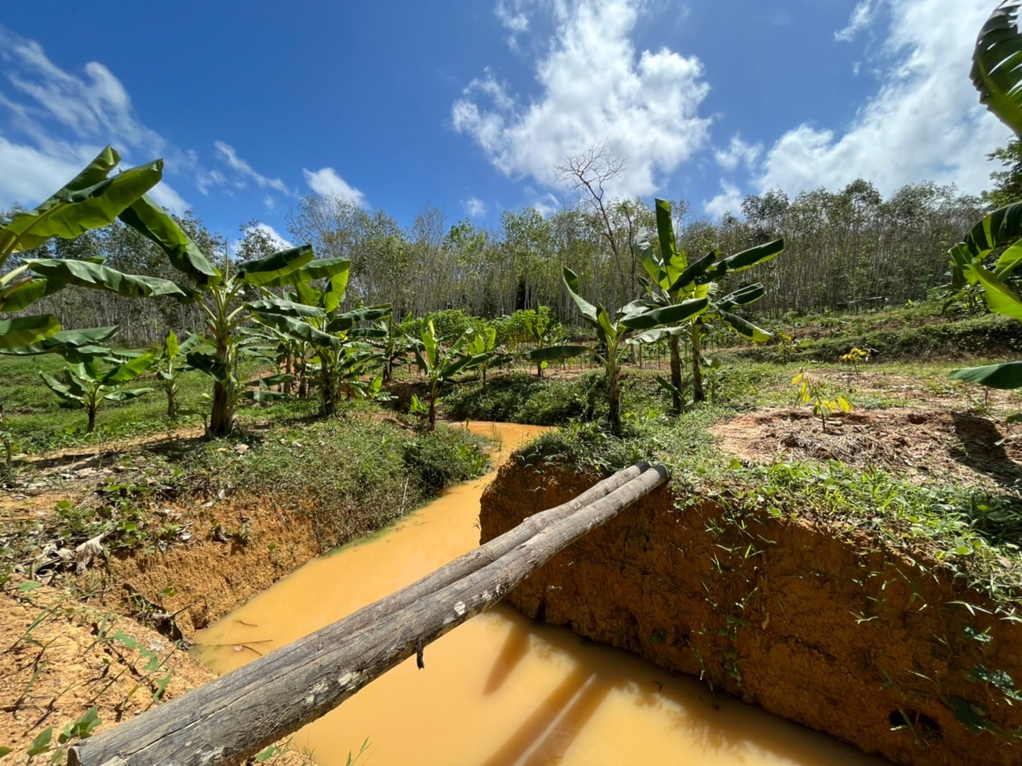 พช.สุราษฎร์ฯ ลงพื้นที่ผลิตสื่อประชาสัมพันธ์ ในโครงการพัฒนาคุณภาพชีวิตตามหลักเกษตรทฤษฎีใหม่ ประยุกต์ “โคก หนองนา โมเดล (พช.)”