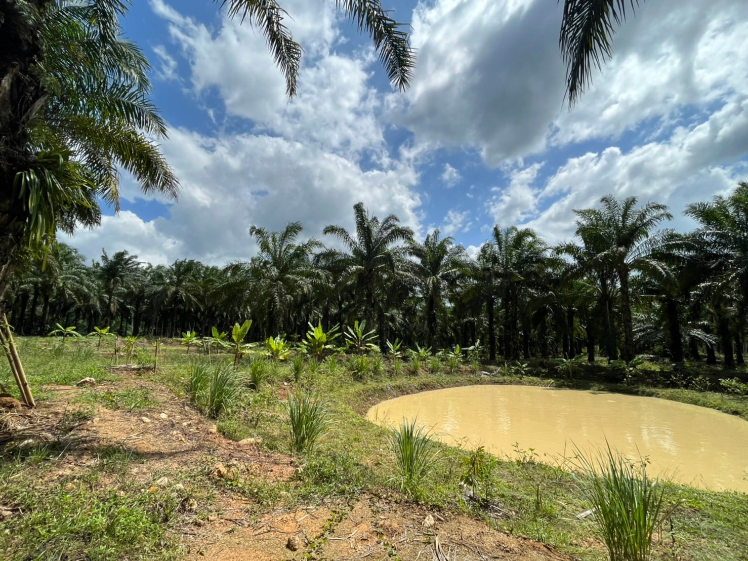 พช.สุราษฎร์ฯ ลงพื้นที่ผลิตสื่อประชาสัมพันธ์ ในโครงการพัฒนาคุณภาพชีวิตตามหลักเกษตรทฤษฎีใหม่ ประยุกต์ “โคก หนองนา โมเดล (พช.)”