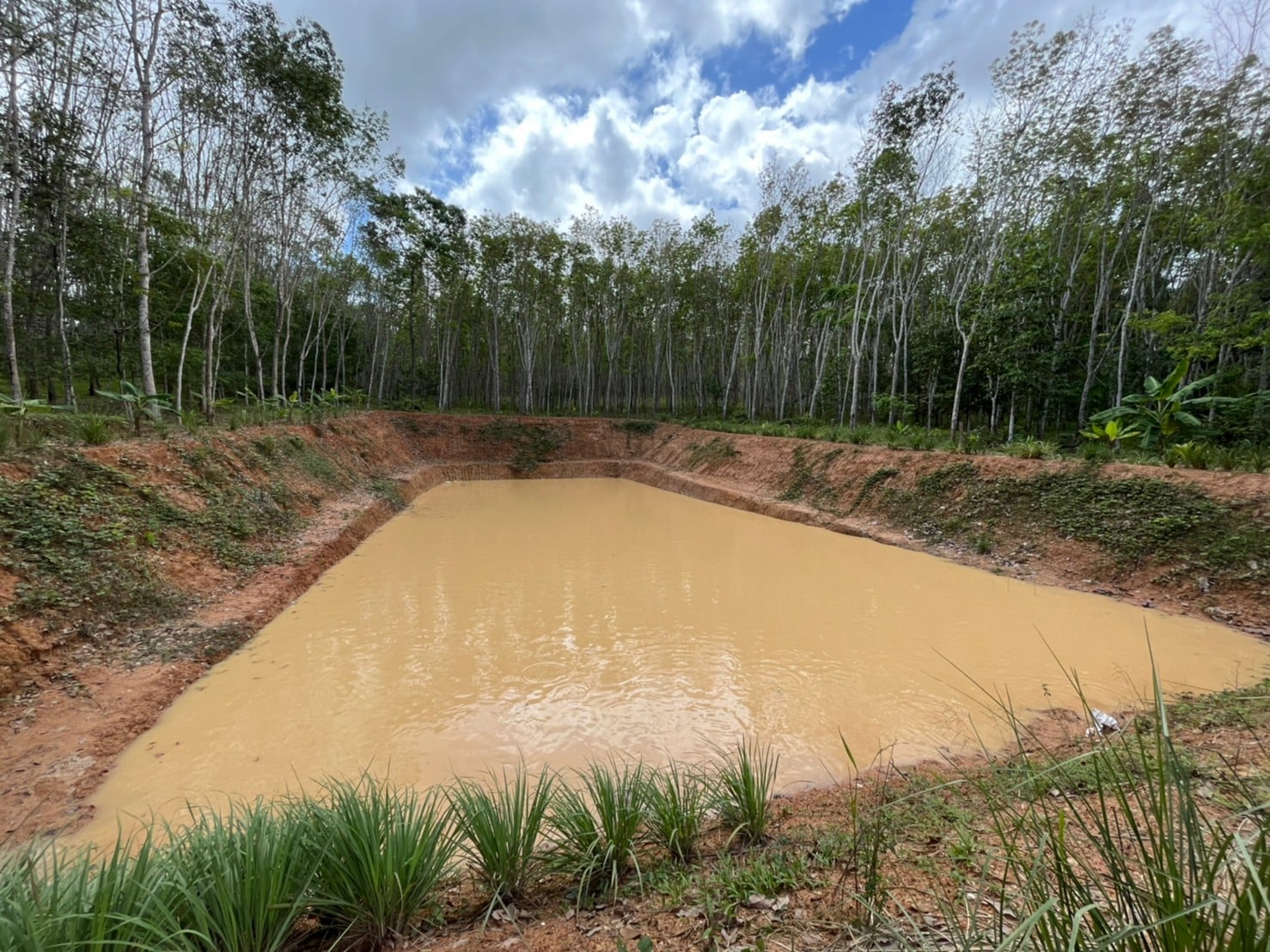 พช.สุราษฎร์ฯ ลงพื้นที่ผลิตสื่อประชาสัมพันธ์ ในโครงการพัฒนาคุณภาพชีวิตตามหลักเกษตรทฤษฎีใหม่ ประยุกต์ “โคก หนองนา โมเดล (พช.)”