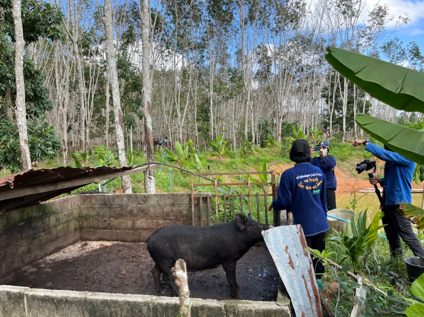 พช.สุราษฎร์ฯ ลงพื้นที่ผลิตสื่อประชาสัมพันธ์ ในโครงการพัฒนาคุณภาพชีวิตตามหลักเกษตรทฤษฎีใหม่ ประยุกต์ “โคก หนองนา โมเดล (พช.)”