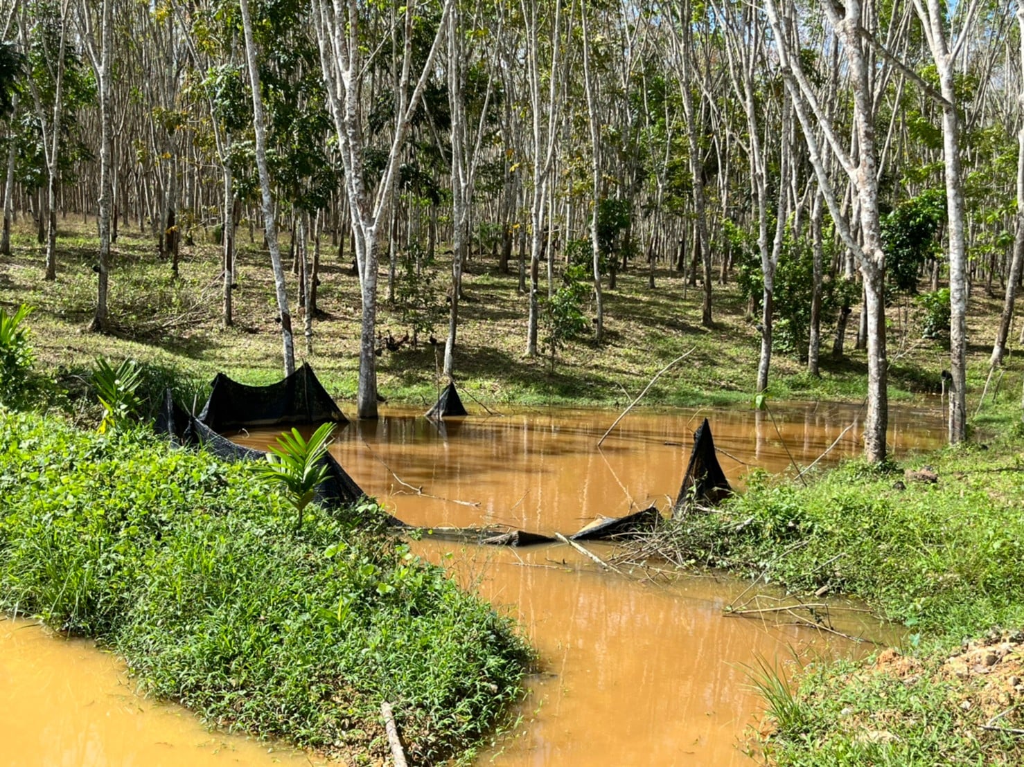 พช.สุราษฎร์ฯ ลงพื้นที่ผลิตสื่อประชาสัมพันธ์ ในโครงการพัฒนาคุณภาพชีวิตตามหลักเกษตรทฤษฎีใหม่ ประยุกต์ “โคก หนองนา โมเดล (พช.)”