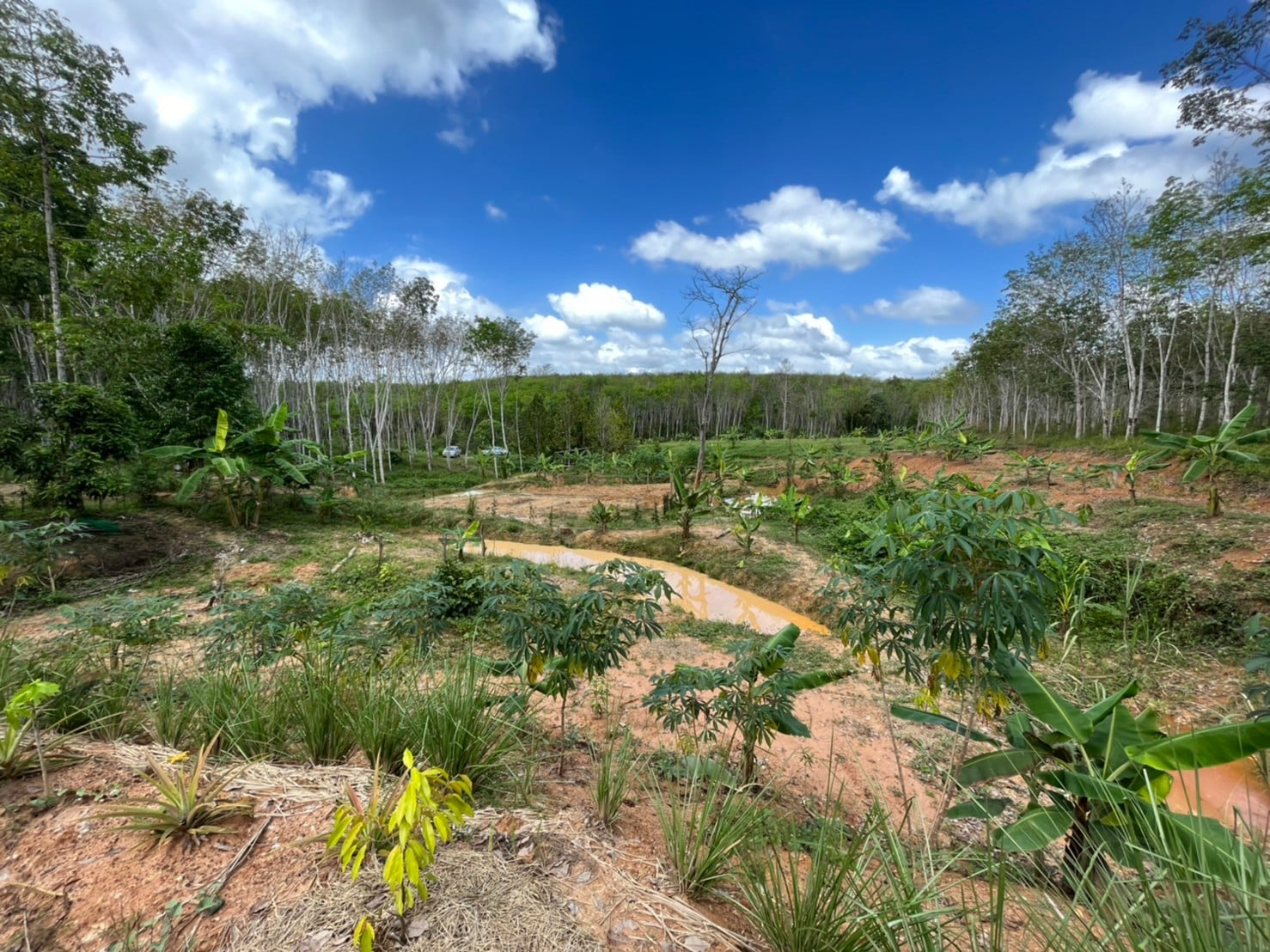 พช.สุราษฎร์ฯ ลงพื้นที่ผลิตสื่อประชาสัมพันธ์ ในโครงการพัฒนาคุณภาพชีวิตตามหลักเกษตรทฤษฎีใหม่ ประยุกต์ “โคก หนองนา โมเดล (พช.)”