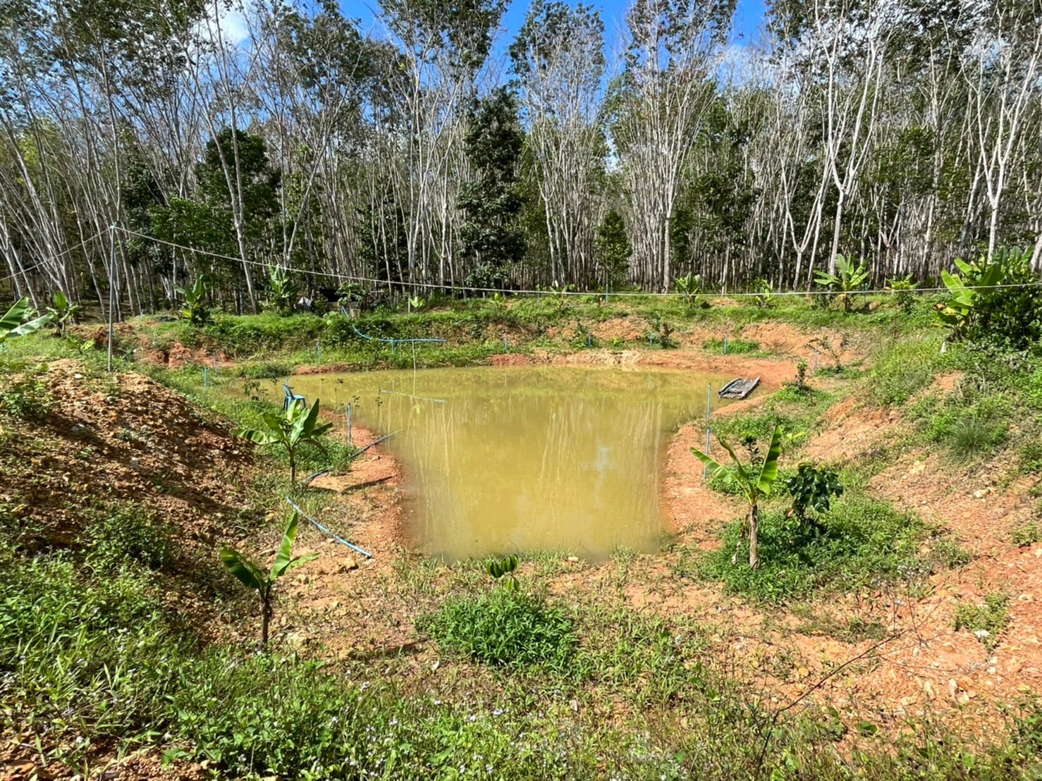 พช.สุราษฎร์ฯ ลงพื้นที่ผลิตสื่อประชาสัมพันธ์ ในโครงการพัฒนาคุณภาพชีวิตตามหลักเกษตรทฤษฎีใหม่ ประยุกต์ “โคก หนองนา โมเดล (พช.)”