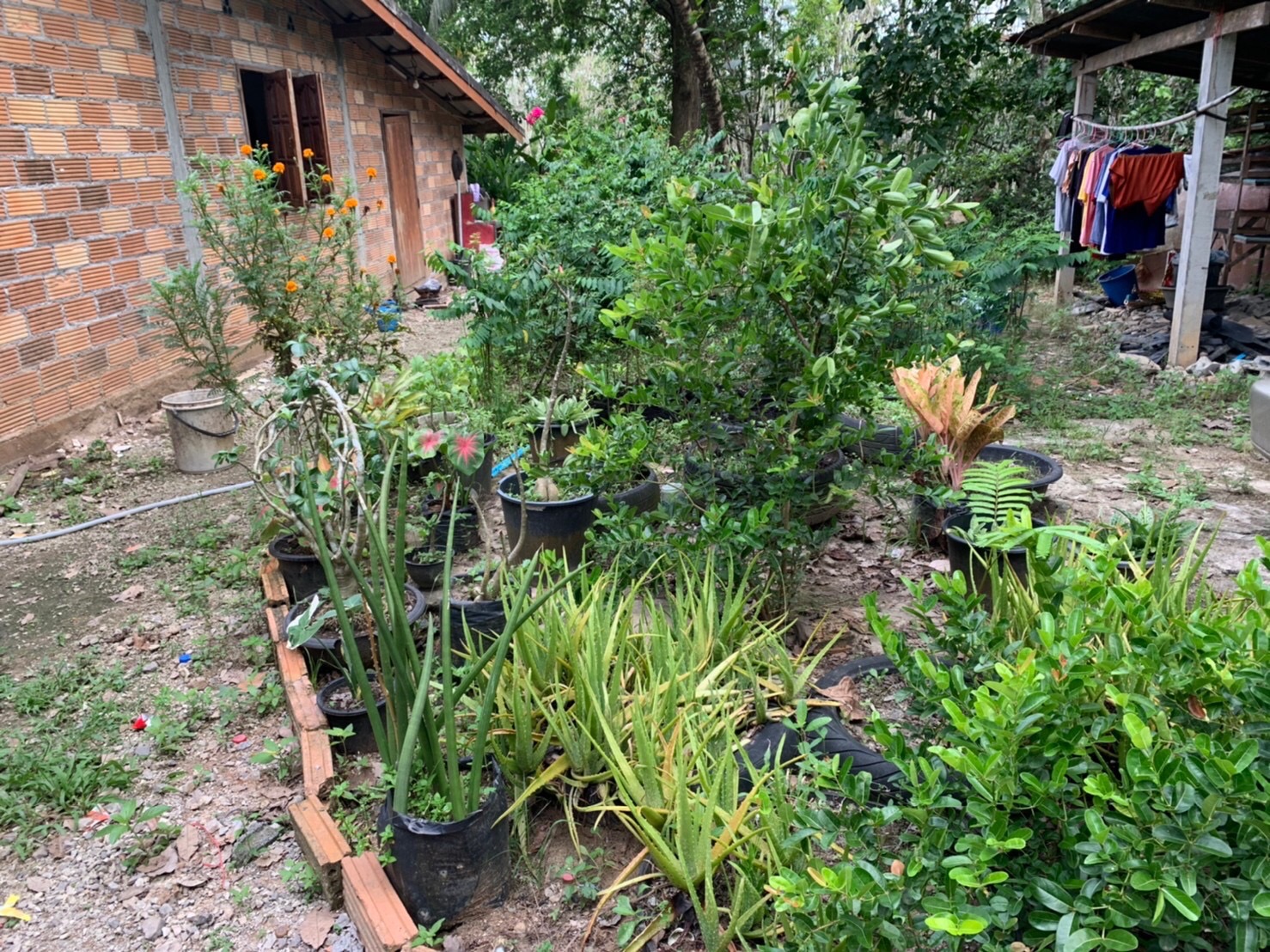 “ผู้ตรวจการกรมการพัฒนาชุมชน ลงพื้นที่อำเภอพระแสง จังหวัดสุราษฎร์ธานี ติดตามศูนย์จิตอาสาพัฒนาชุมชน และลุยงานแก้จนถึงพื้นที่”