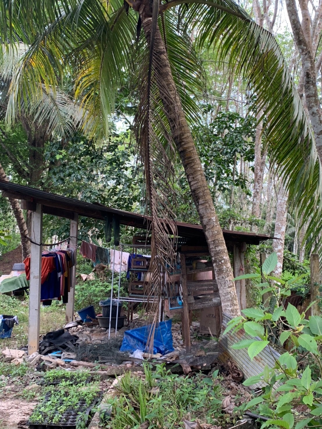 “ผู้ตรวจการกรมการพัฒนาชุมชน ลงพื้นที่อำเภอพระแสง จังหวัดสุราษฎร์ธานี ติดตามศูนย์จิตอาสาพัฒนาชุมชน และลุยงานแก้จนถึงพื้นที่”