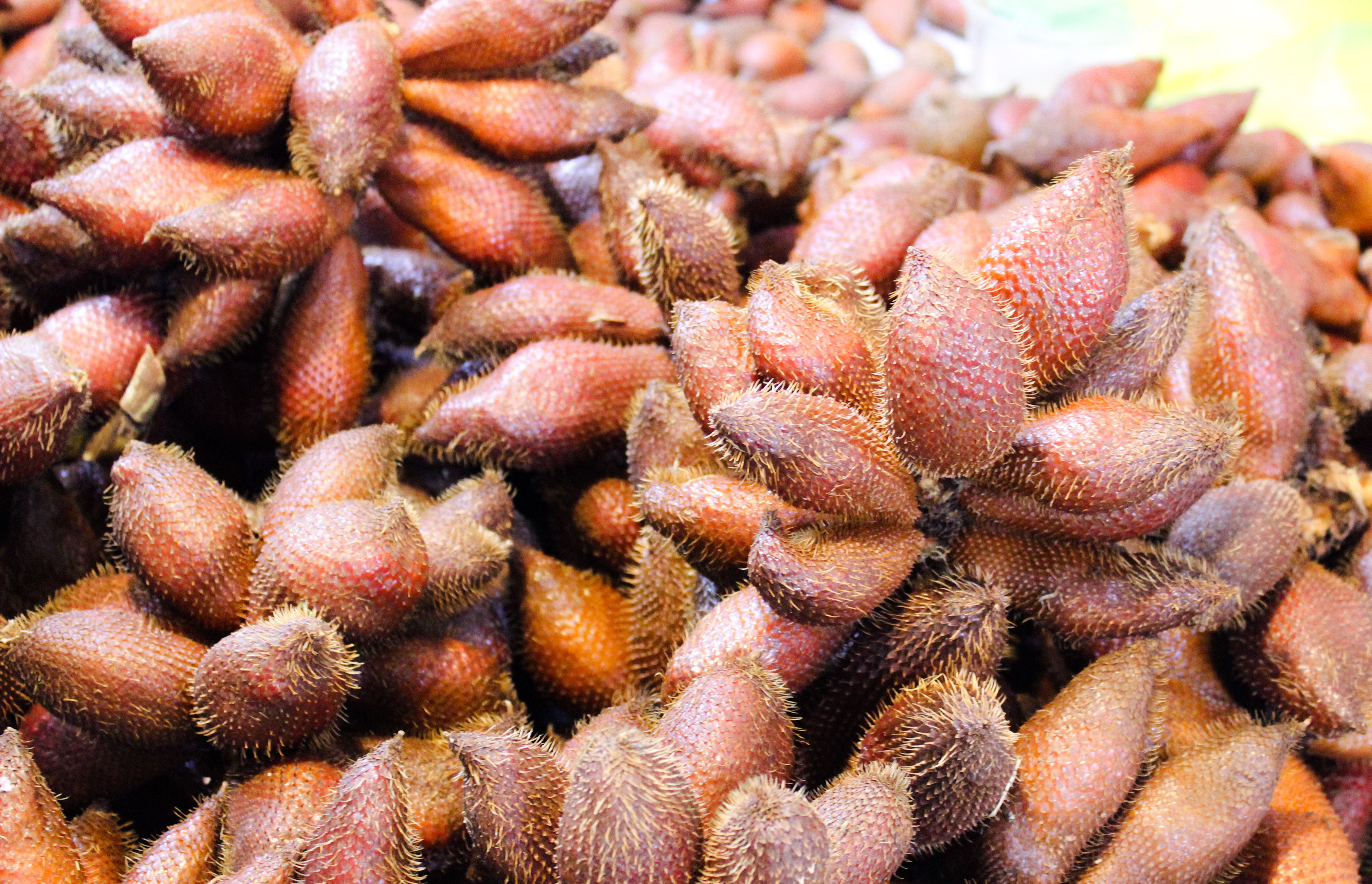 สุราษฎร์ธานี เอาใจสายช้อปปิ้งเกินต้านทาน!! ยกขบวนขนทัพมาอีกแล้วจ้า…กับงาน OTOP SME ศรีวิชัย สร้างรอยยิ้มให้คนไทย ของกิน ของใช้ เสื้อผ้า เพียบ เจอกันได้ที่ ลานโปรโมชั่น ชั้น 1 ศูนย์การค้าสหไทยการ์เด้นฯ