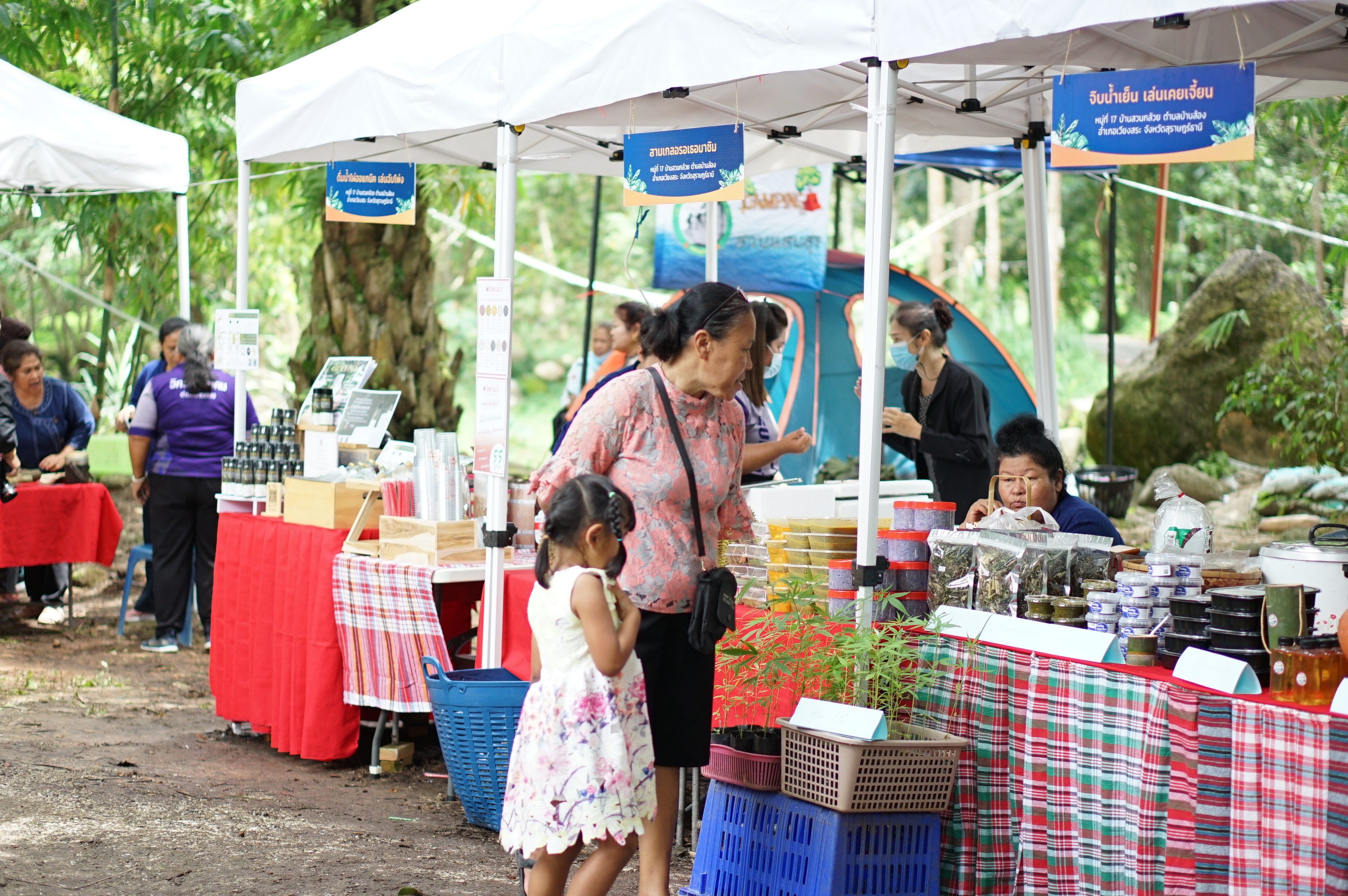 “ชุมชนบ้านสวนกล้วยยิ้มรับการท่องเที่ยว” พร้อมเปิดกิจกรรม D-HOPE ให้นักท่องเที่ยวลงมือปฏิบัติ และชื่นชมกับธรรมชาติที่แสนสวยงาม