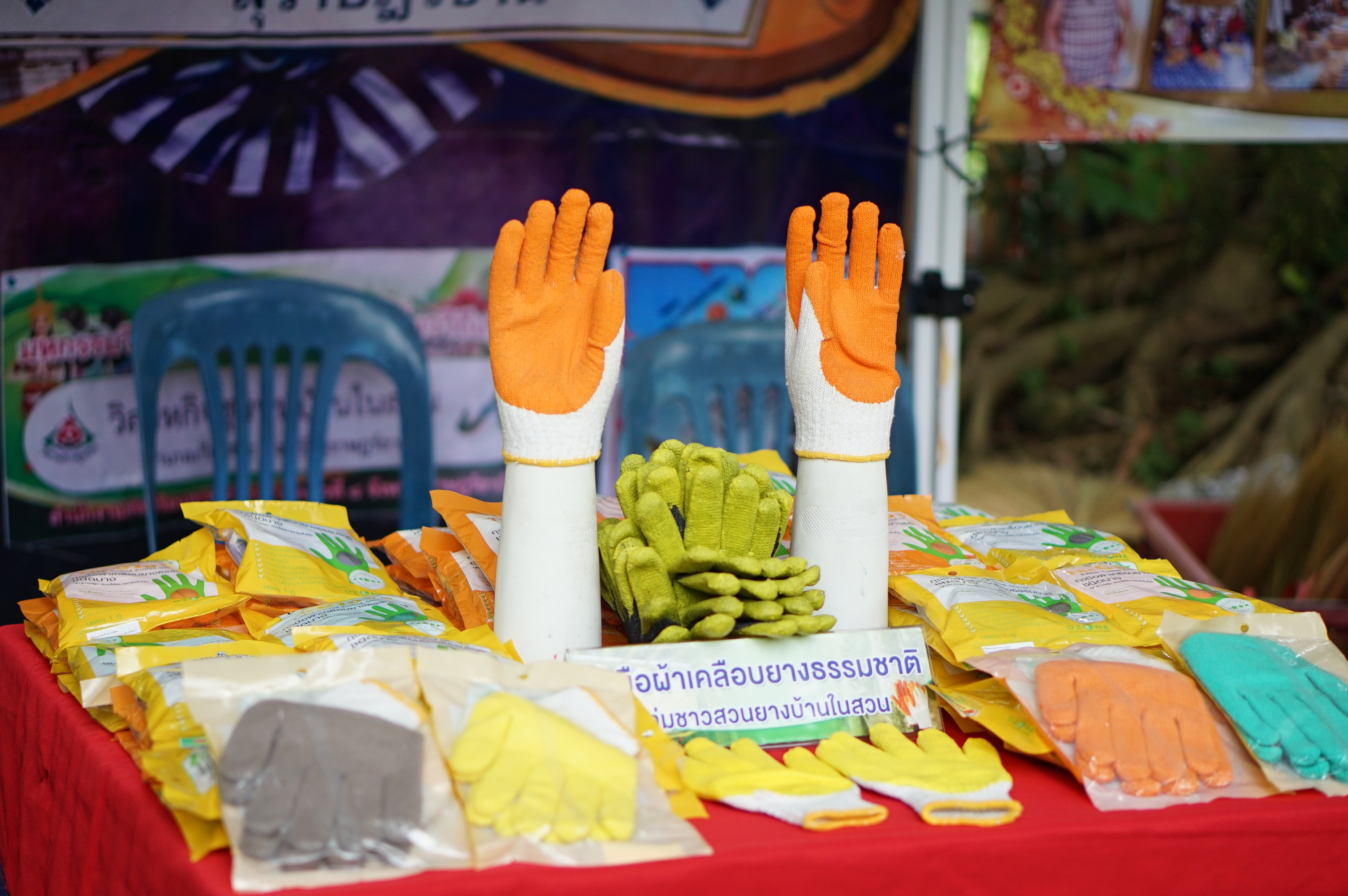 “ชุมชนบ้านสวนกล้วยยิ้มรับการท่องเที่ยว” พร้อมเปิดกิจกรรม D-HOPE ให้นักท่องเที่ยวลงมือปฏิบัติ และชื่นชมกับธรรมชาติที่แสนสวยงาม