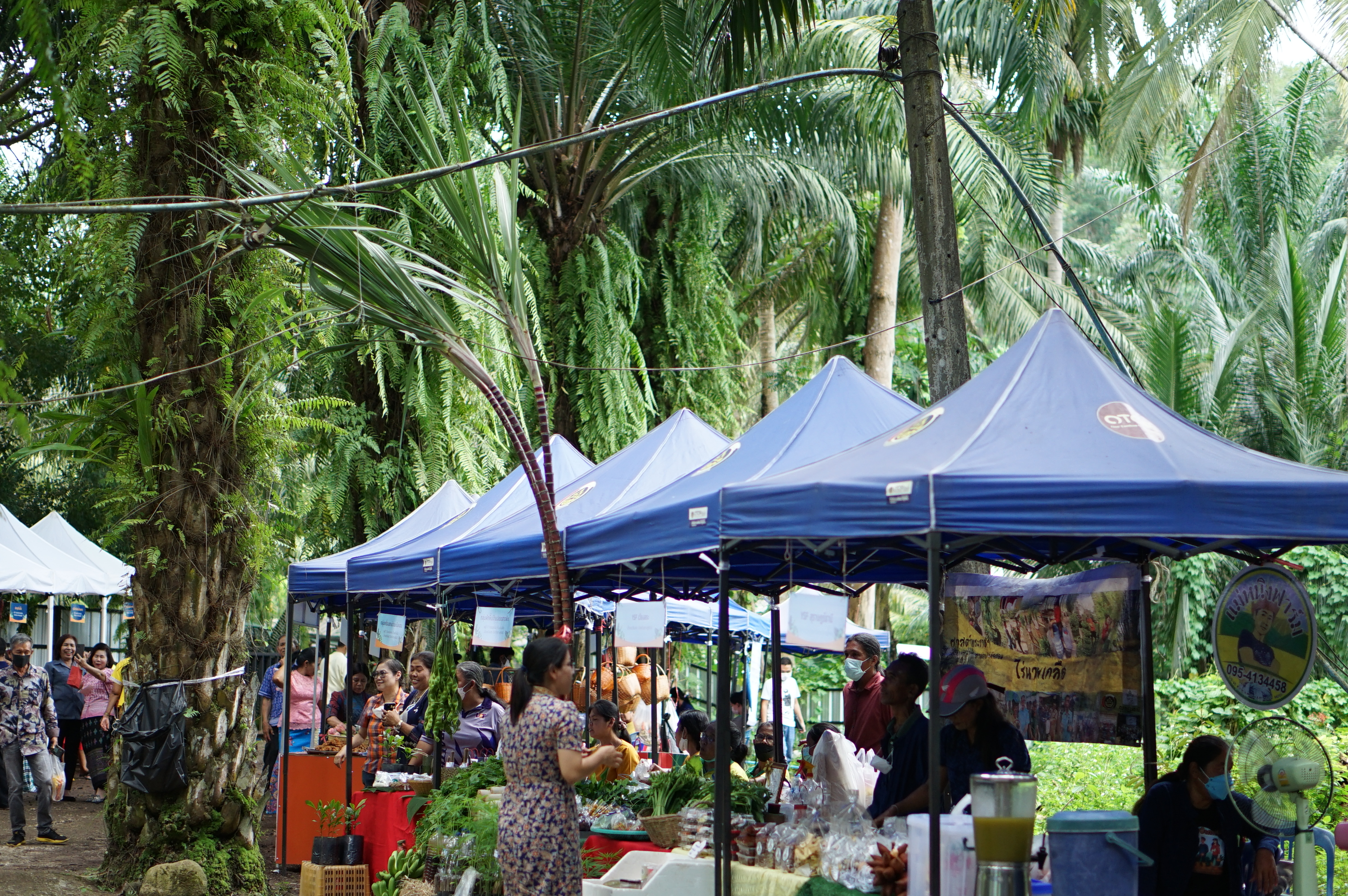 “ชุมชนบ้านสวนกล้วยยิ้มรับการท่องเที่ยว” พร้อมเปิดกิจกรรม D-HOPE ให้นักท่องเที่ยวลงมือปฏิบัติ และชื่นชมกับธรรมชาติที่แสนสวยงาม