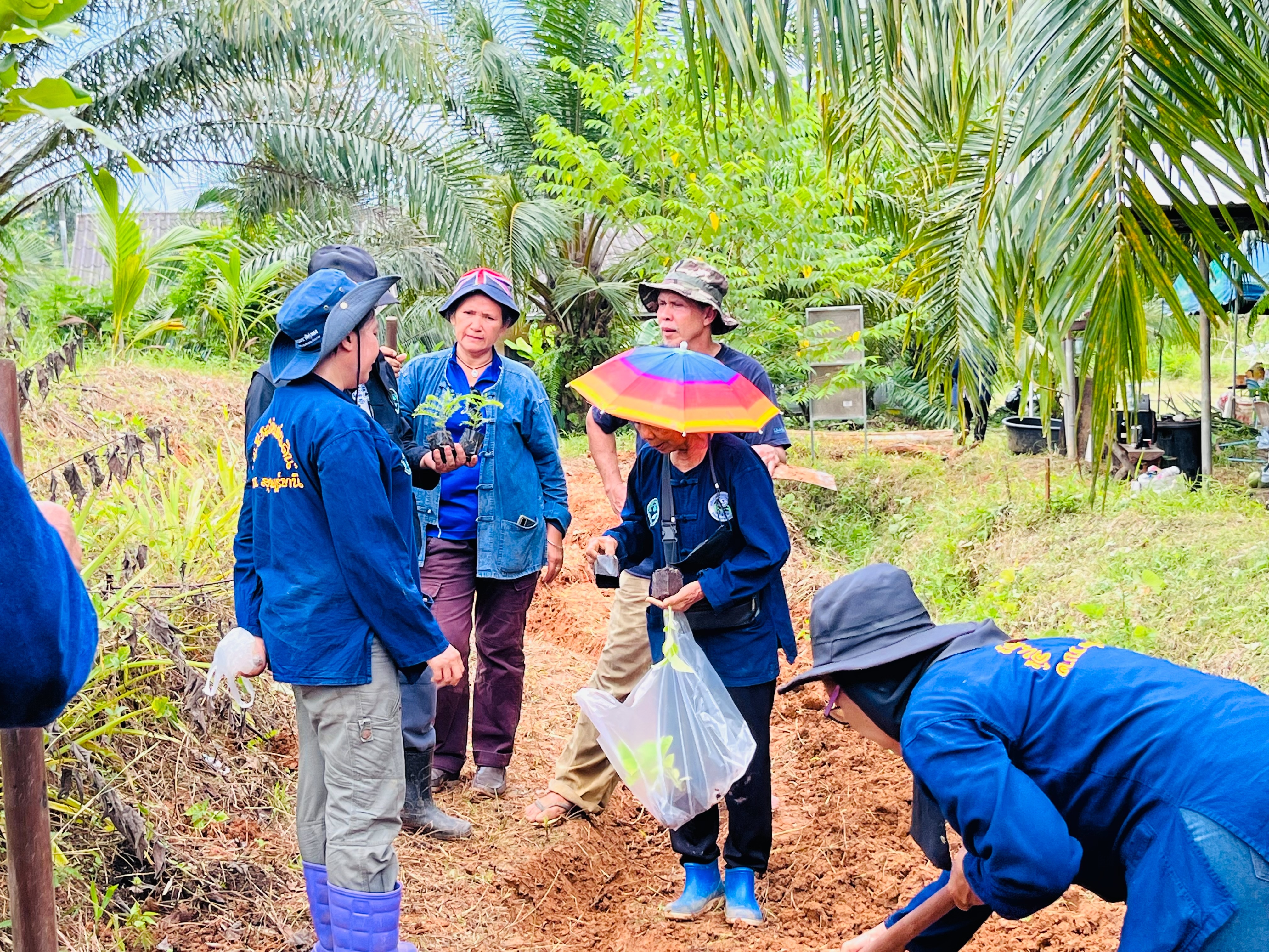 เครือข่ายโคกหนองนา พช.พนม จังหวัดสุราษฎร์ธานี รวมพลังจัดกิจกรรม “ก้าวต่อไป โคก หนอง นา พช.พนม ออกปาก (ซอแรง) พัฒนาสู่บันได ๙ ขั้น ” อย่างยั่งยืน