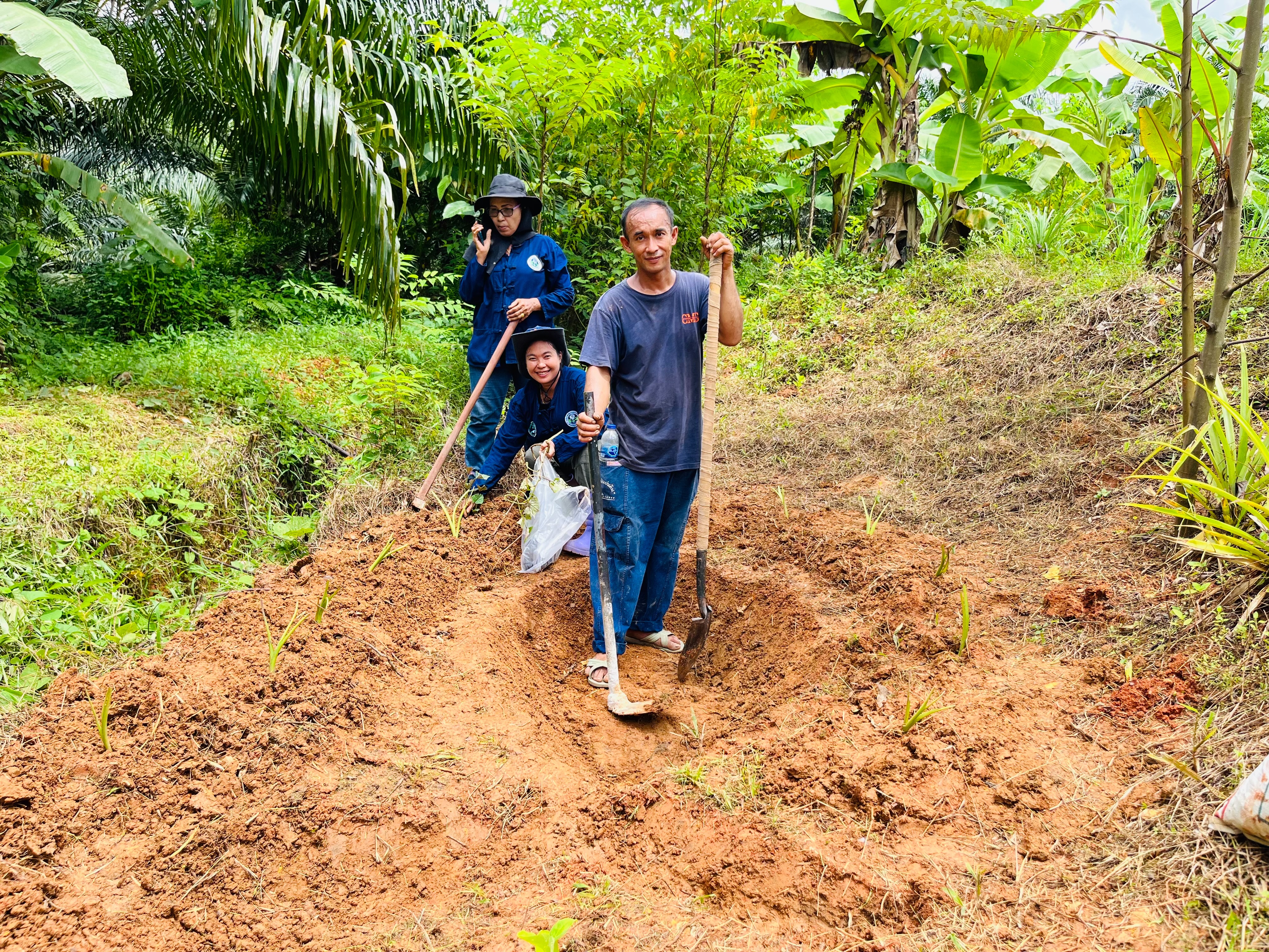 เครือข่ายโคกหนองนา พช.พนม จังหวัดสุราษฎร์ธานี รวมพลังจัดกิจกรรม “ก้าวต่อไป โคก หนอง นา พช.พนม ออกปาก (ซอแรง) พัฒนาสู่บันได ๙ ขั้น ” อย่างยั่งยืน
