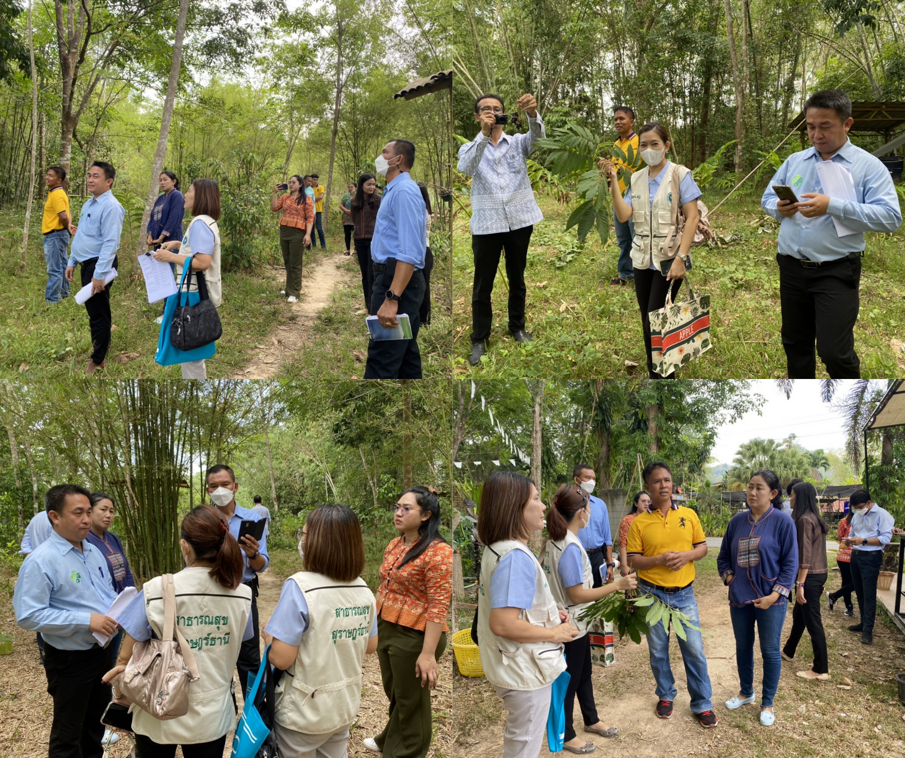 คณะกรรมการเครือข่าย KBO สุราษฎร์ธานี ลงพื้นที่เร่งพัฒนาผลิตภัณฑ์ OTOP ภายใต้โครงการ KBO ในวันที่ 3