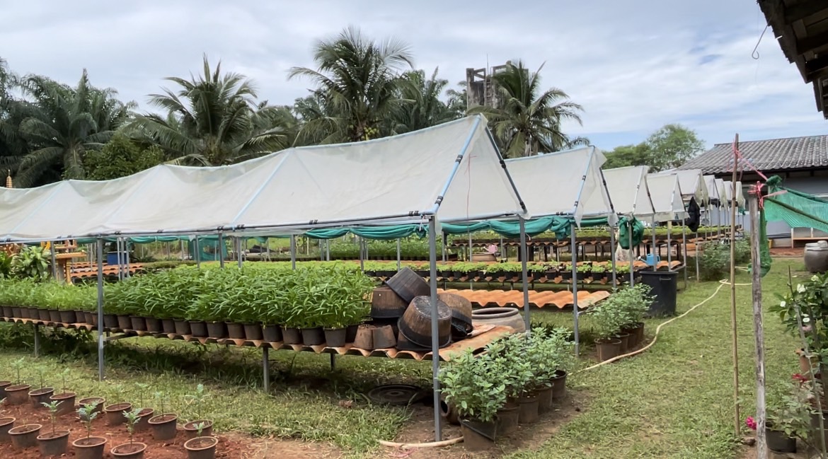 “ตรวจแล้ว ตรวจอยู่ ตรวจต่อ” พช.สุราษฎร์ ไปต่อไม่รอแล้ว