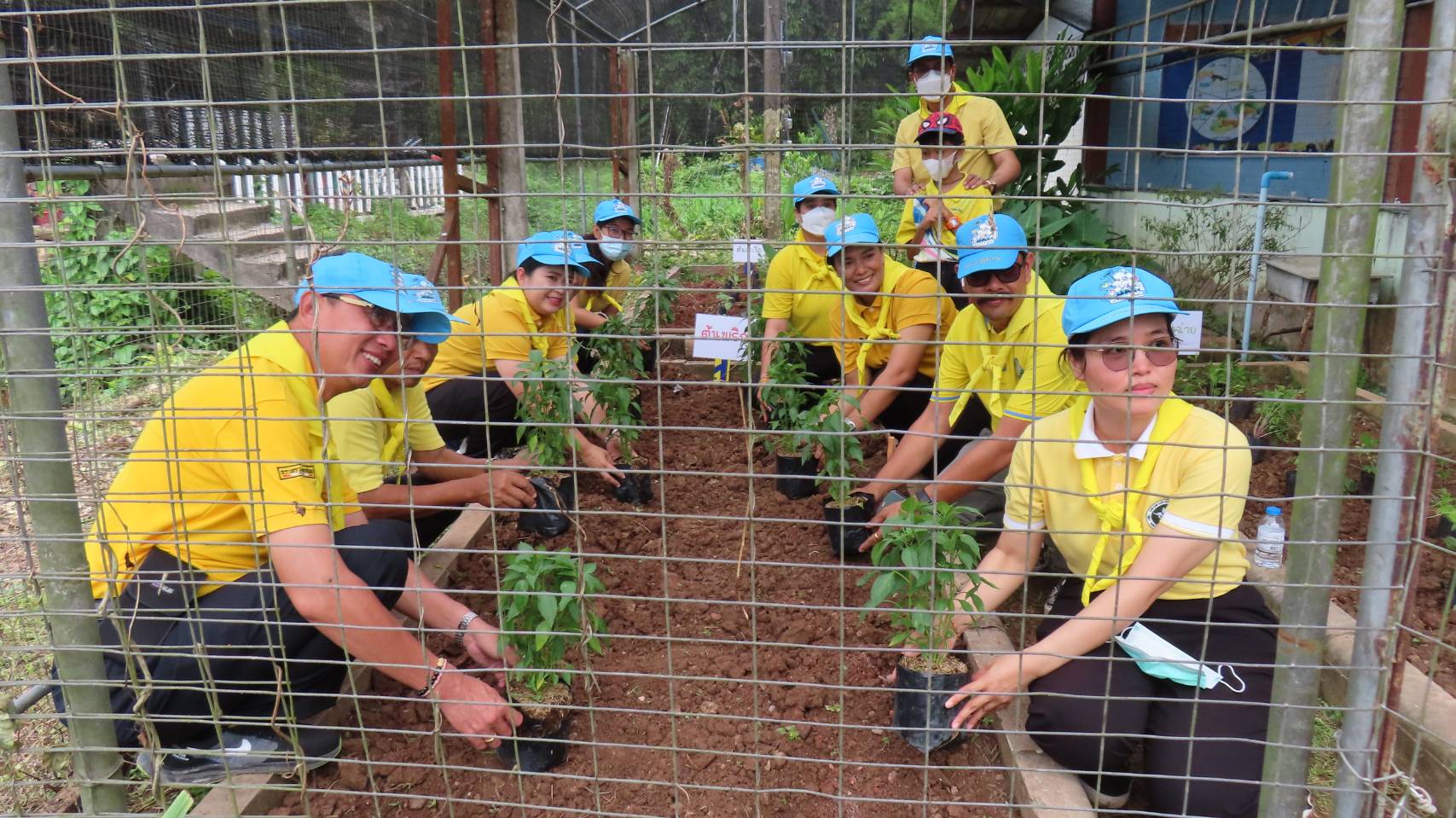 พช.สุราษฎร์ ร่วมกิจกรรมเฉลิมพระเกัยรติพระบาทสมเด็จพระเจ้าอยู่หัว