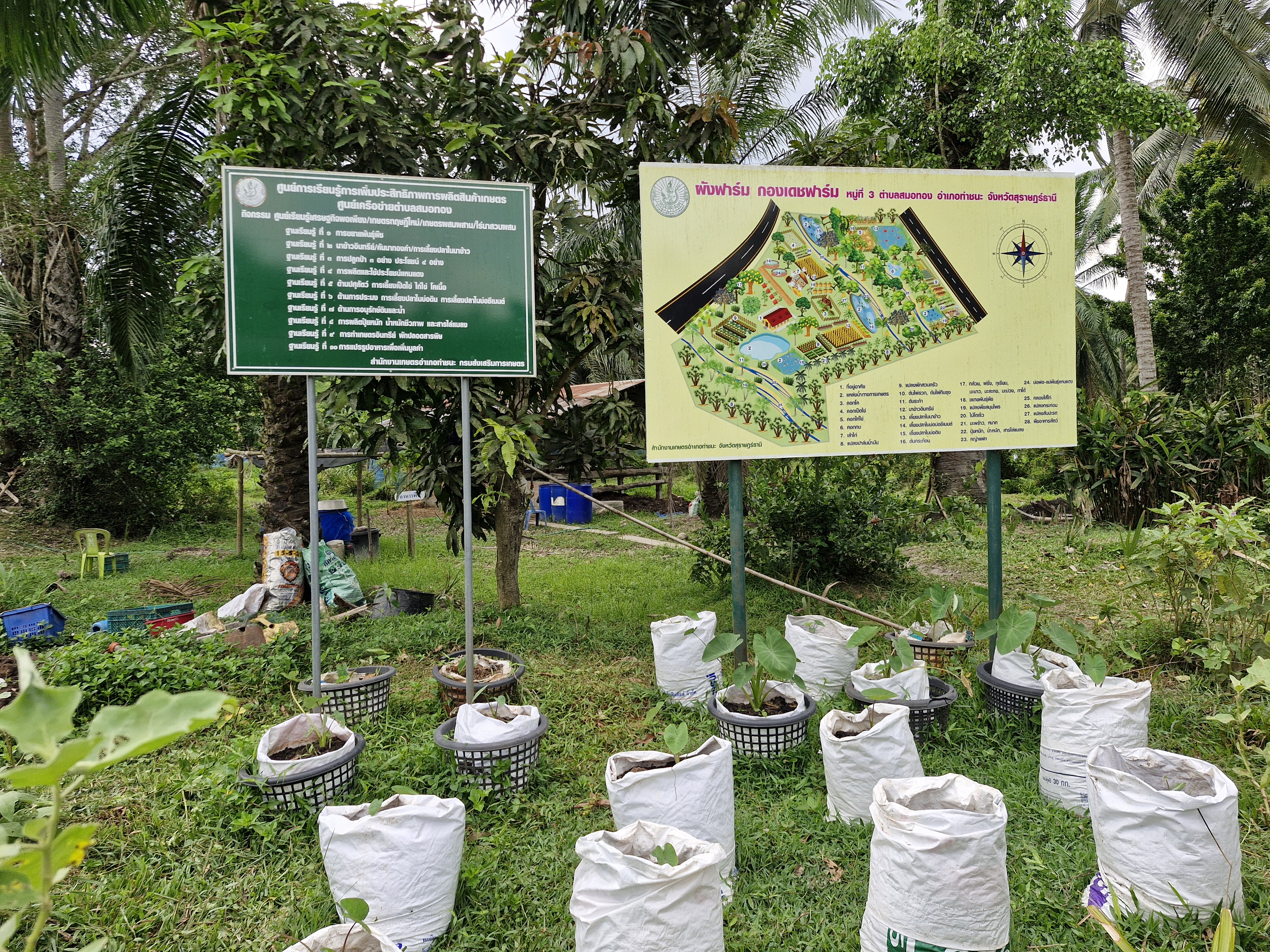 ผู้ตรวจรายการการกรม ปฏิบัติหน้าที่ผู้อำนวยการศูนย์ศึกษาและพัฒนาชุมนาชุมชนนครศรีธรรมรรมราช ลงพื้นที่ตรวจติดตามผลการดำเนินงานกรมการพัฒนาชุมชนที่สำคัญและตรวจเยี่ยมข้ารารายการบรรจุใหม่ สพอ.ท่าชนะ สพอ.พุนพิน และสพอ.พนม จ.สุราษฎร์ธานี