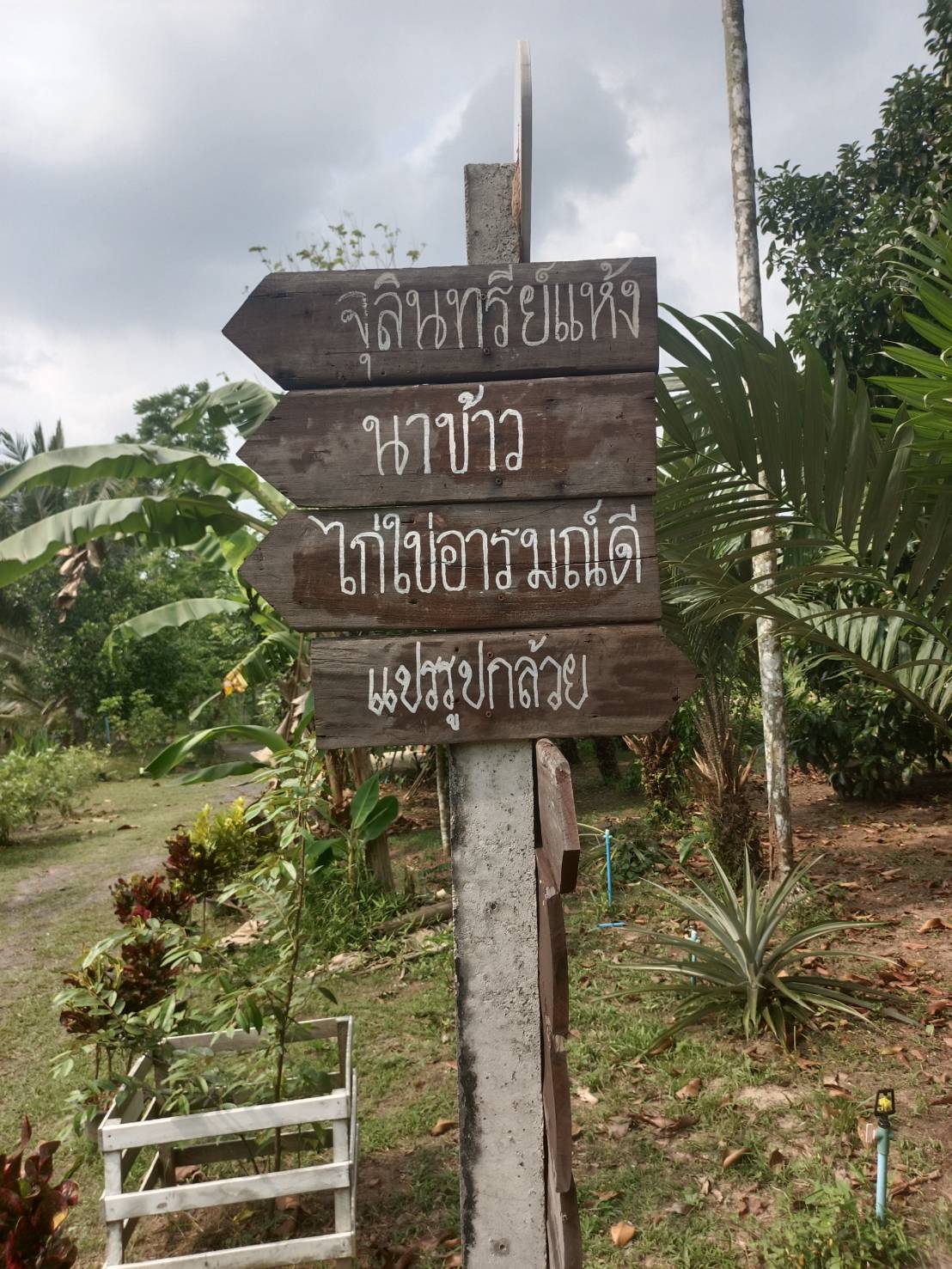 ผู้ตรวจรายการการกรม ปฏิบัติหน้าที่ผู้อำนวยการศูนย์ศึกษาและพัฒนาชุมนาชุมชนนครศรีธรรมรรมราช ลงพื้นที่ตรวจติดตามผลการดำเนินงานกรมการพัฒนาชุมชนที่สำคัญและตรวจเยี่ยมข้ารารายการบรรจุใหม่ สพอ.ท่าชนะ สพอ.พุนพิน และสพอ.พนม จ.สุราษฎร์ธานี