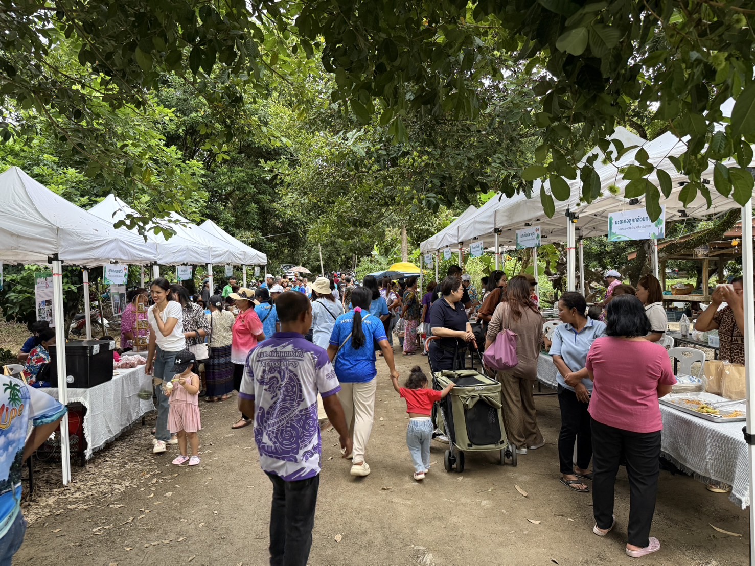 พช.สุราษฎร์ธานี ร่วมงาน  “เธอกับฉัน ยันหวาง” ตามโครงการจัดกิจกรรมส่งเสริมการที่นักท่องเที่ยวลงมือปฏิบัติ (D-HOPE) ชุมชนท่องเที่ยว OTOP นวัตวิถี บ้านวังศิลาดิเรกสาร ตำบลเพิ่มพูนทรัพย์ อำเภอบ้านนาสาร 