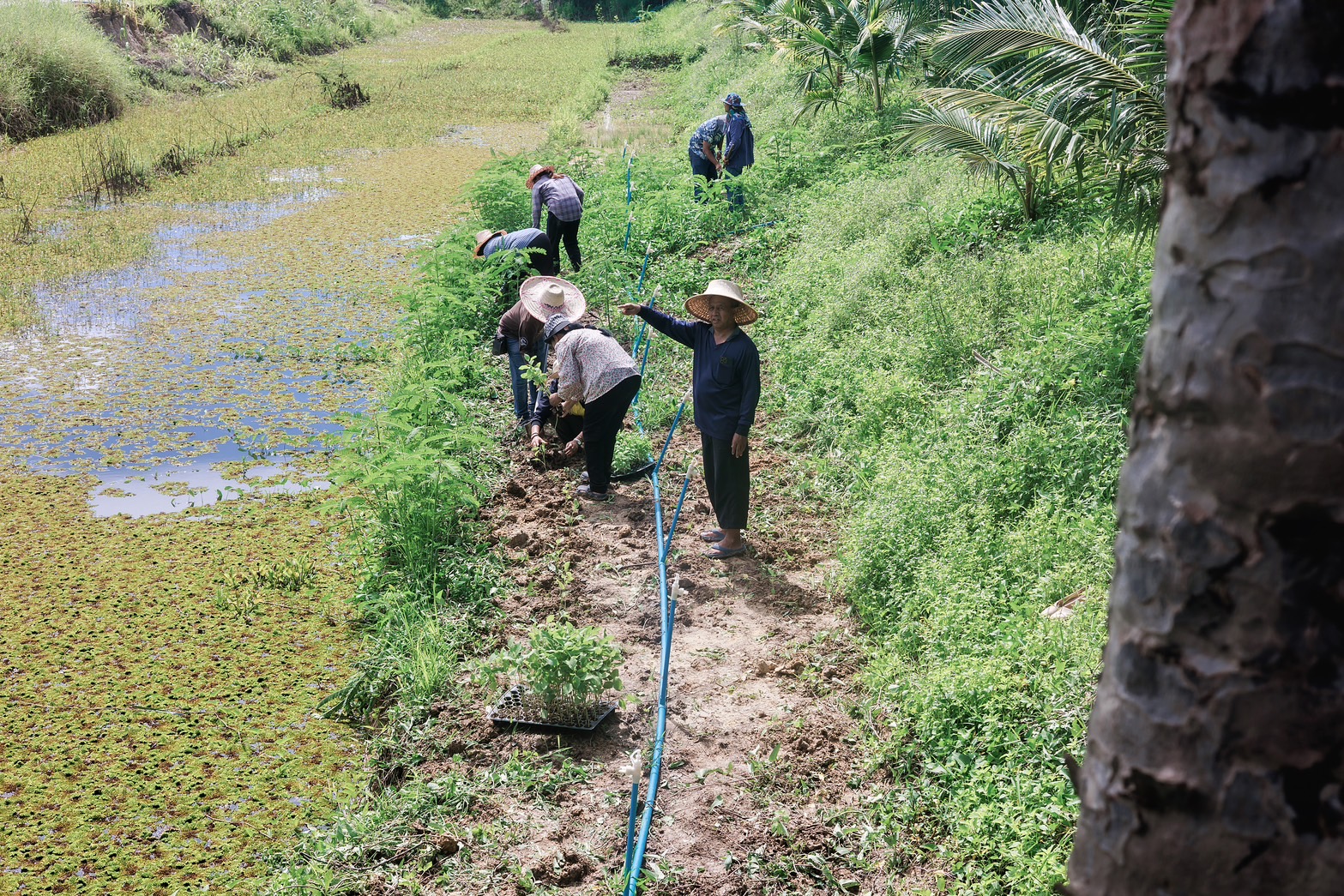 “ผู้นำต้องทำก่อน” รองผู้ว่าฯ “เมืองคนดี” เปิดบ้านเตรียมปั้นศูนย์เรียนรู้ ขยายผล “โคก หนอง นา” สู่ชุมชนอย่างยั่งยืน