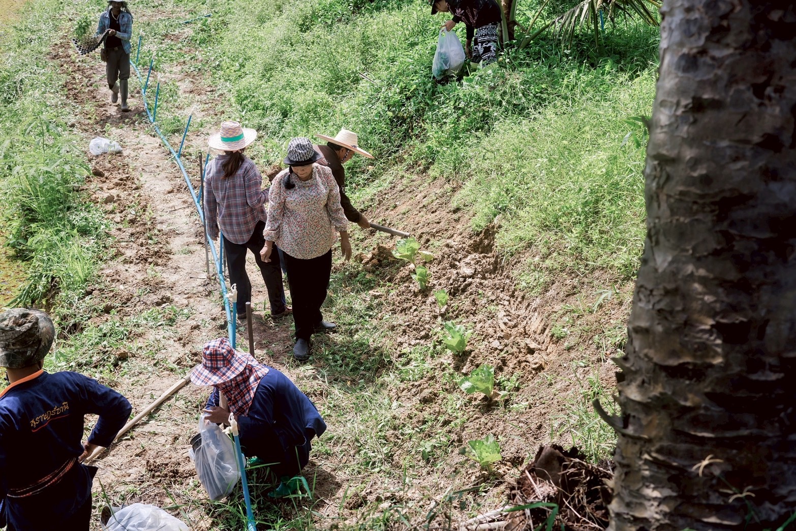 “ผู้นำต้องทำก่อน” รองผู้ว่าฯ “เมืองคนดี” เปิดบ้านเตรียมปั้นศูนย์เรียนรู้ ขยายผล “โคก หนอง นา” สู่ชุมชนอย่างยั่งยืน