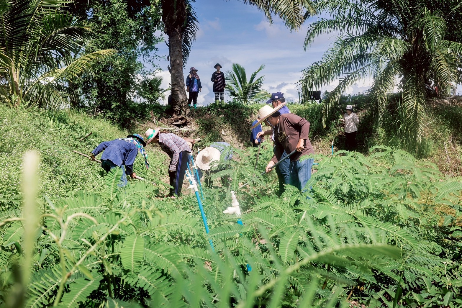 “ผู้นำต้องทำก่อน” รองผู้ว่าฯ “เมืองคนดี” เปิดบ้านเตรียมปั้นศูนย์เรียนรู้ ขยายผล “โคก หนอง นา” สู่ชุมชนอย่างยั่งยืน