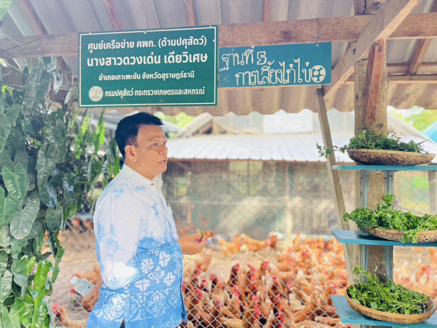 “พาพงัน สรรสร้างเพื่อชุมชน” พช.เกาะพะงัน ร่วมคัดเลือกคนกองทุนพัฒนาบทบาทสตรีดีเด่น ปี 68 ยกย่องคนทำงานเพื่อชุมชน