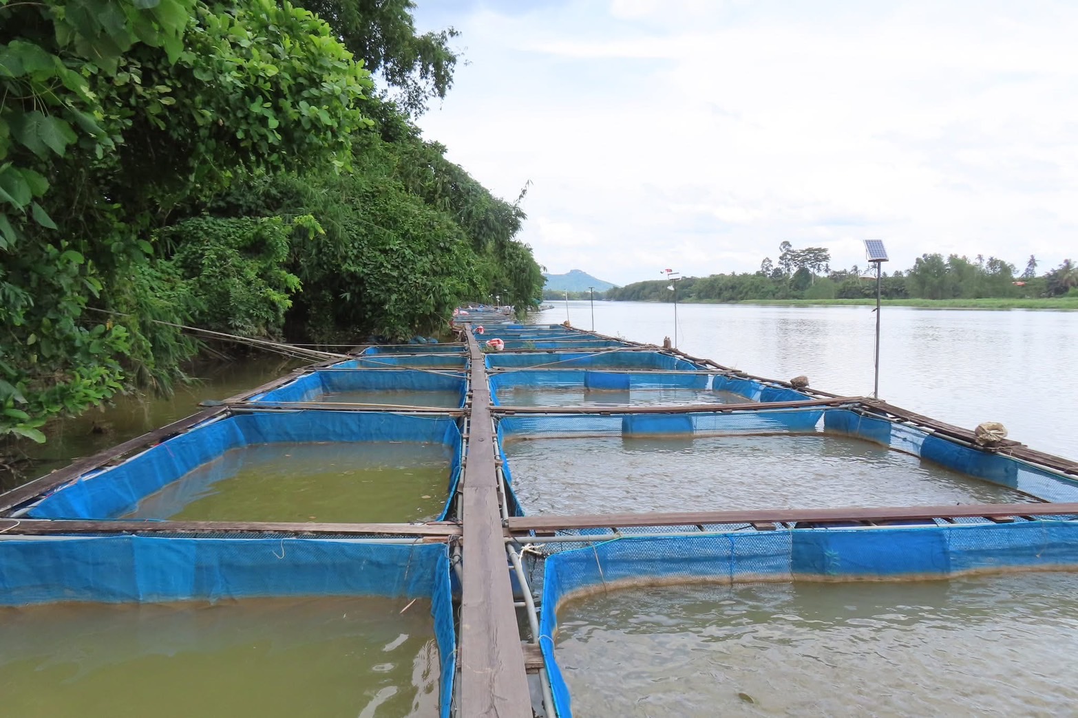 พช.สุราษฎร์ ลงพื้นที่เฟ้นหากิจกรรมพัฒนาชุมชนดีเด่น วันที่ หก