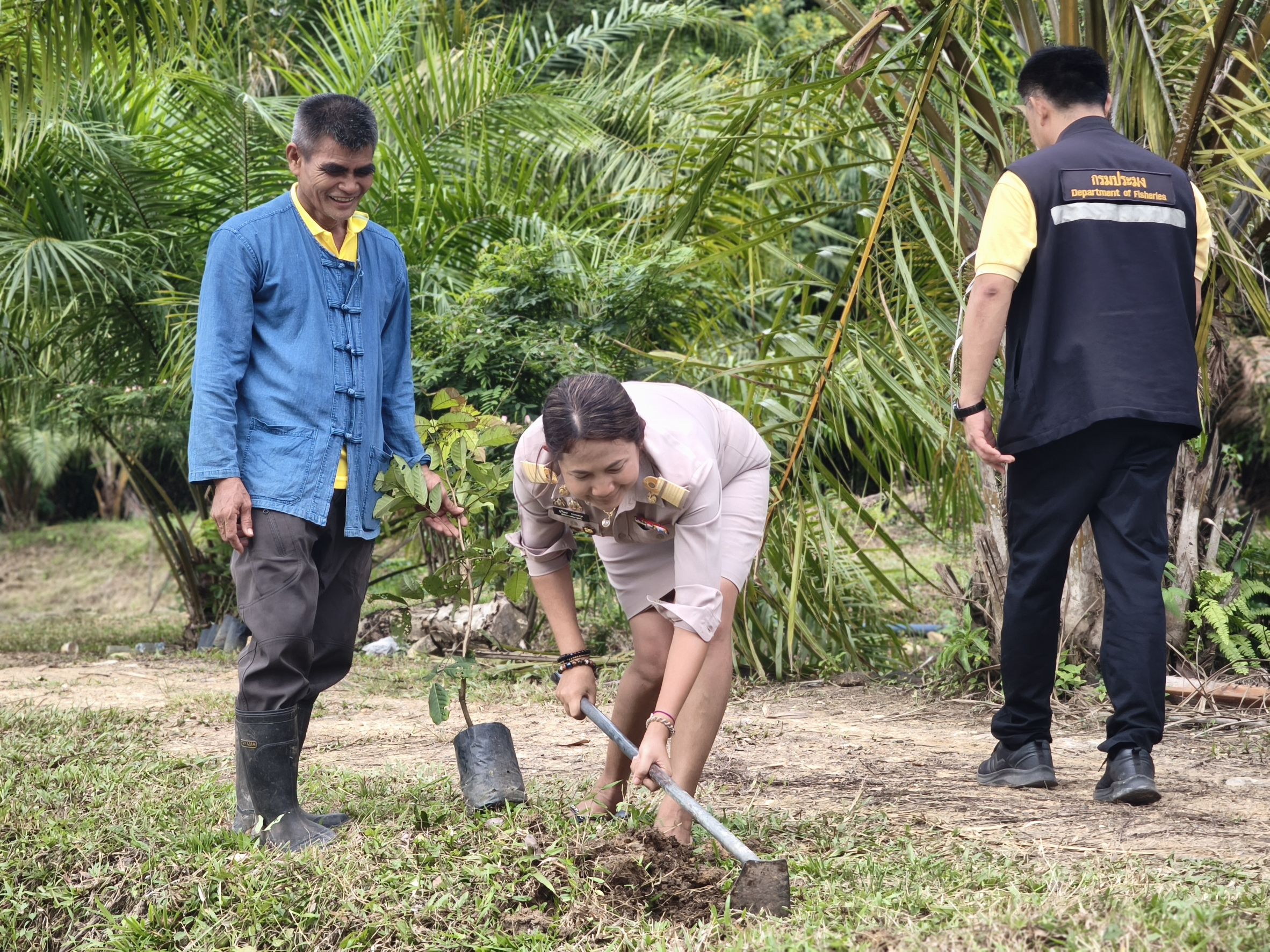 📣พช.สุราษฎร์ธานี ร่วมกิจกรรม “เอามื้อสามัคคี เครือข่าย โคก หนอง นา อำเภอพุนพิน”