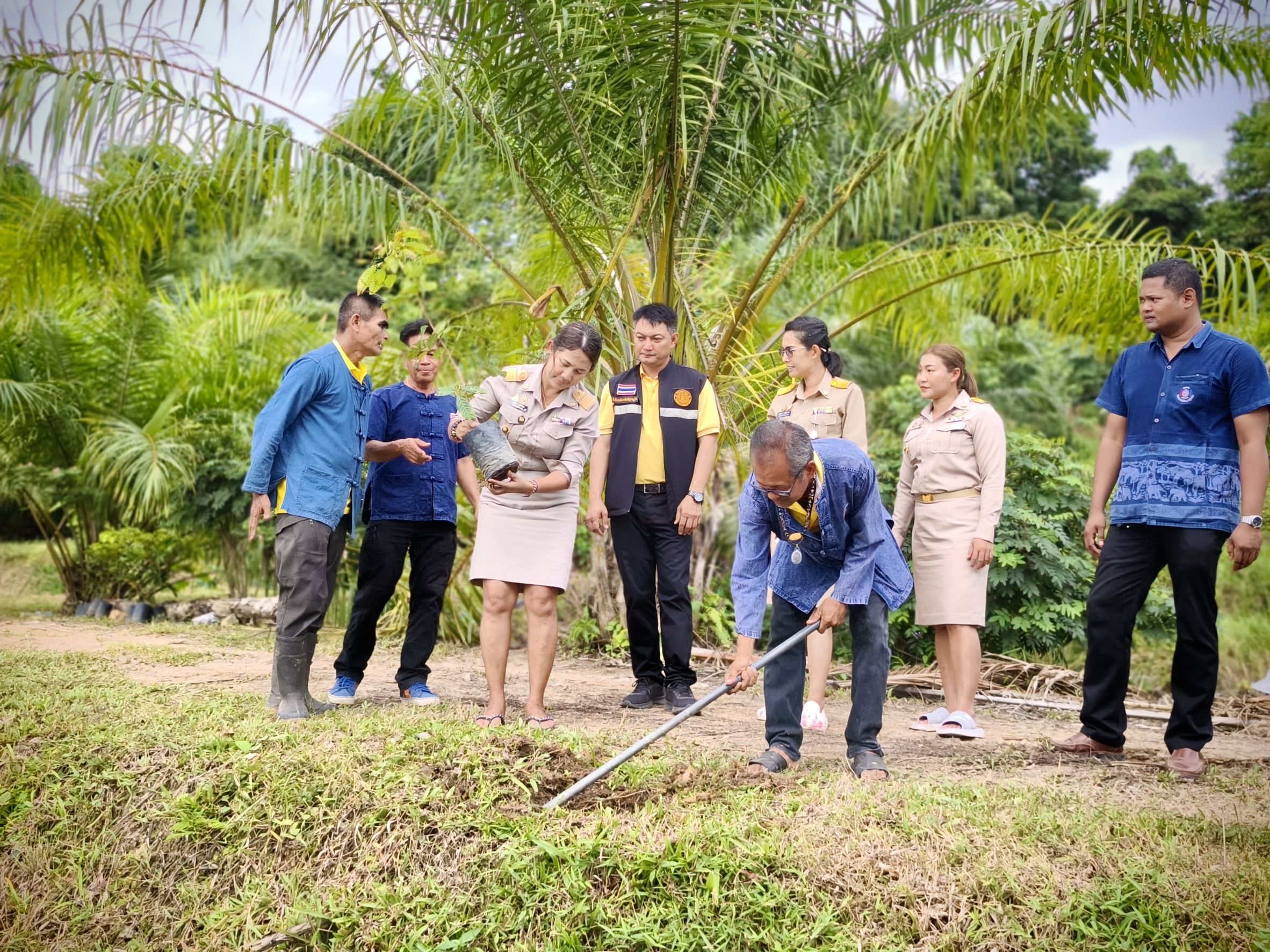 📣พช.สุราษฎร์ธานี ร่วมกิจกรรม “เอามื้อสามัคคี เครือข่าย โคก หนอง นา อำเภอพุนพิน”