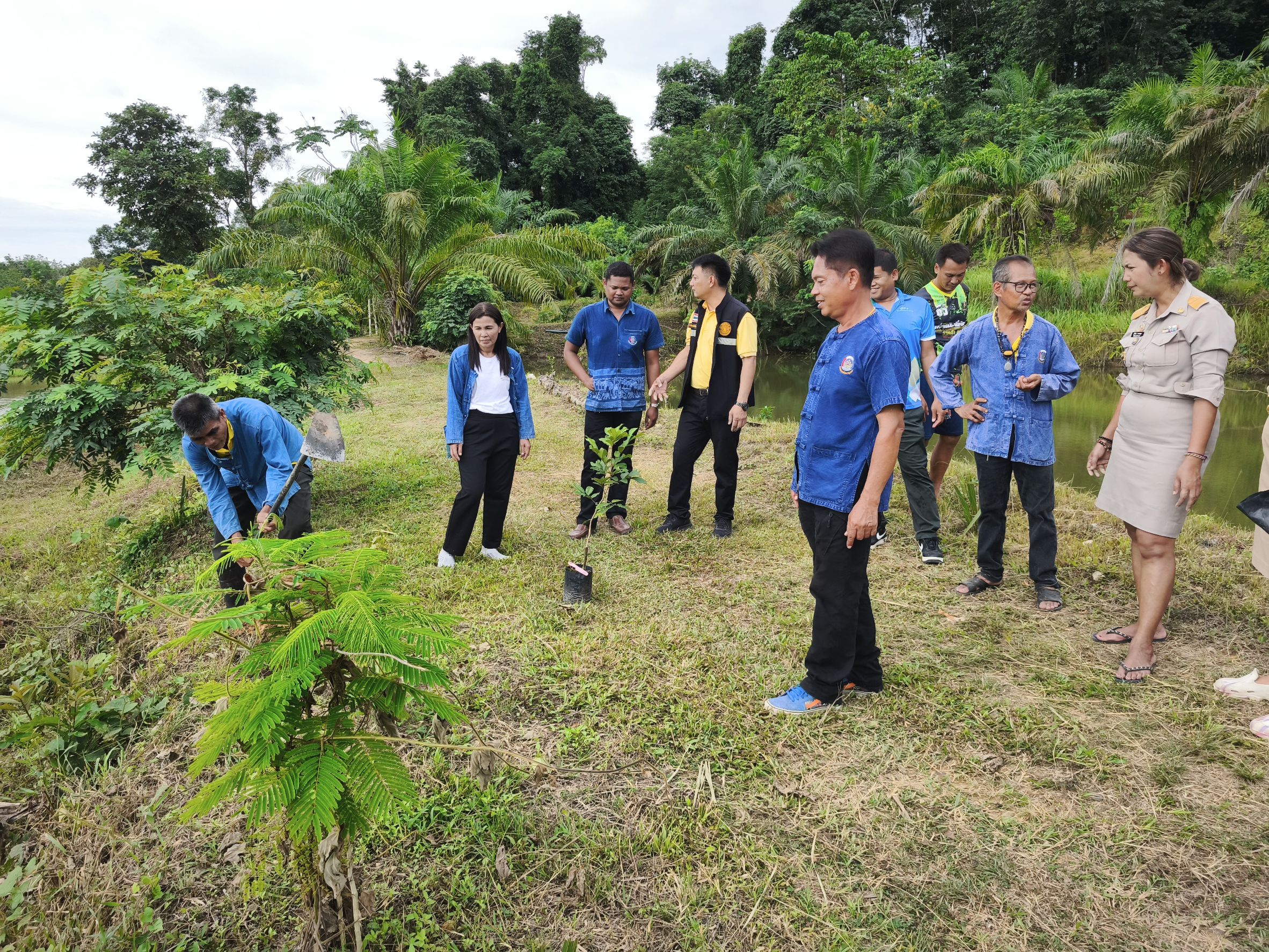 📣พช.สุราษฎร์ธานี ร่วมกิจกรรม “เอามื้อสามัคคี เครือข่าย โคก หนอง นา อำเภอพุนพิน”