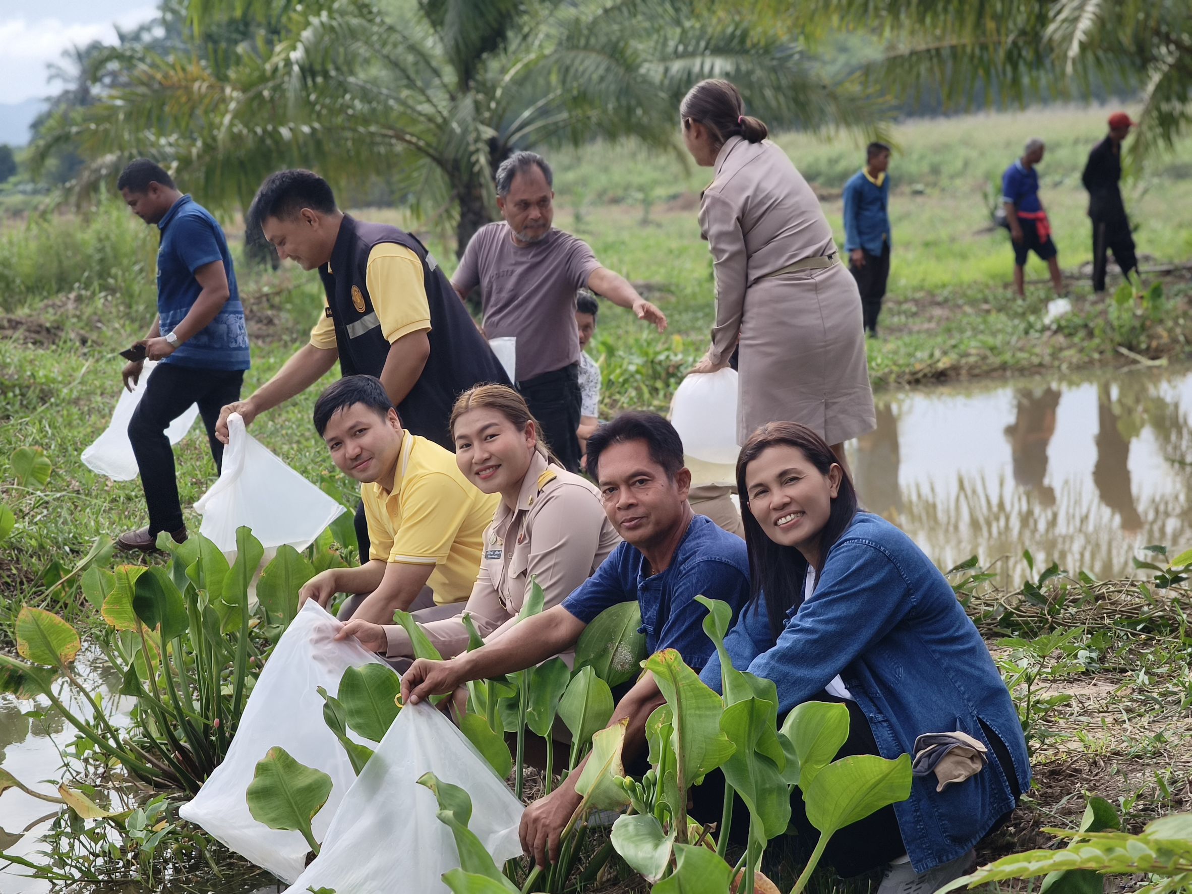 📣พช.สุราษฎร์ธานี ร่วมกิจกรรม “เอามื้อสามัคคี เครือข่าย โคก หนอง นา อำเภอพุนพิน”