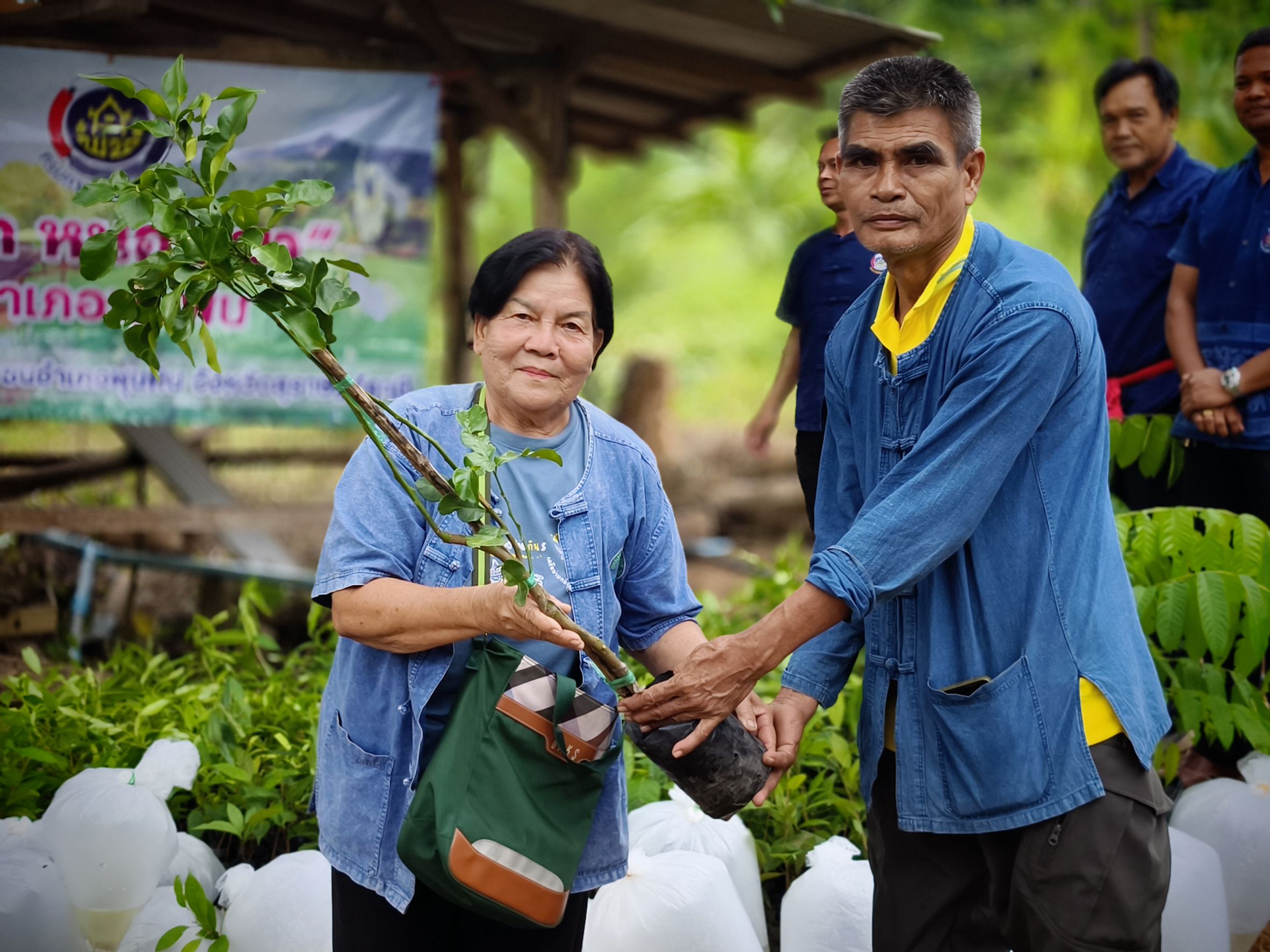 📣พช.สุราษฎร์ธานี ร่วมกิจกรรม “เอามื้อสามัคคี เครือข่าย โคก หนอง นา อำเภอพุนพิน”