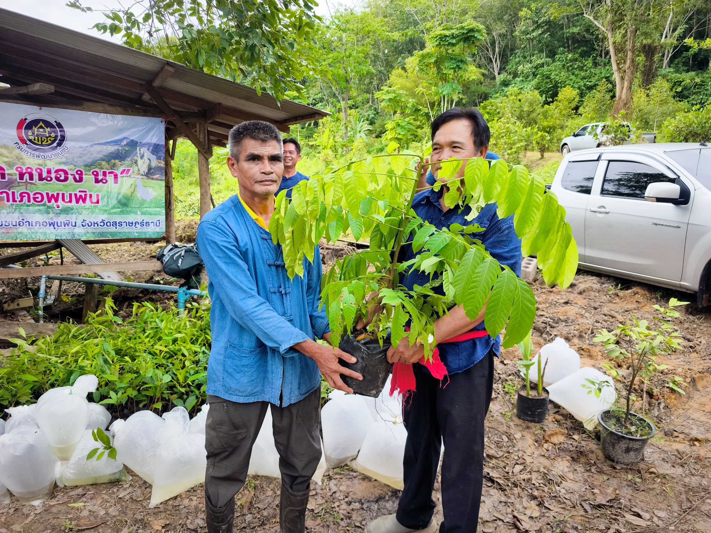 📣พช.สุราษฎร์ธานี ร่วมกิจกรรม “เอามื้อสามัคคี เครือข่าย โคก หนอง นา อำเภอพุนพิน”