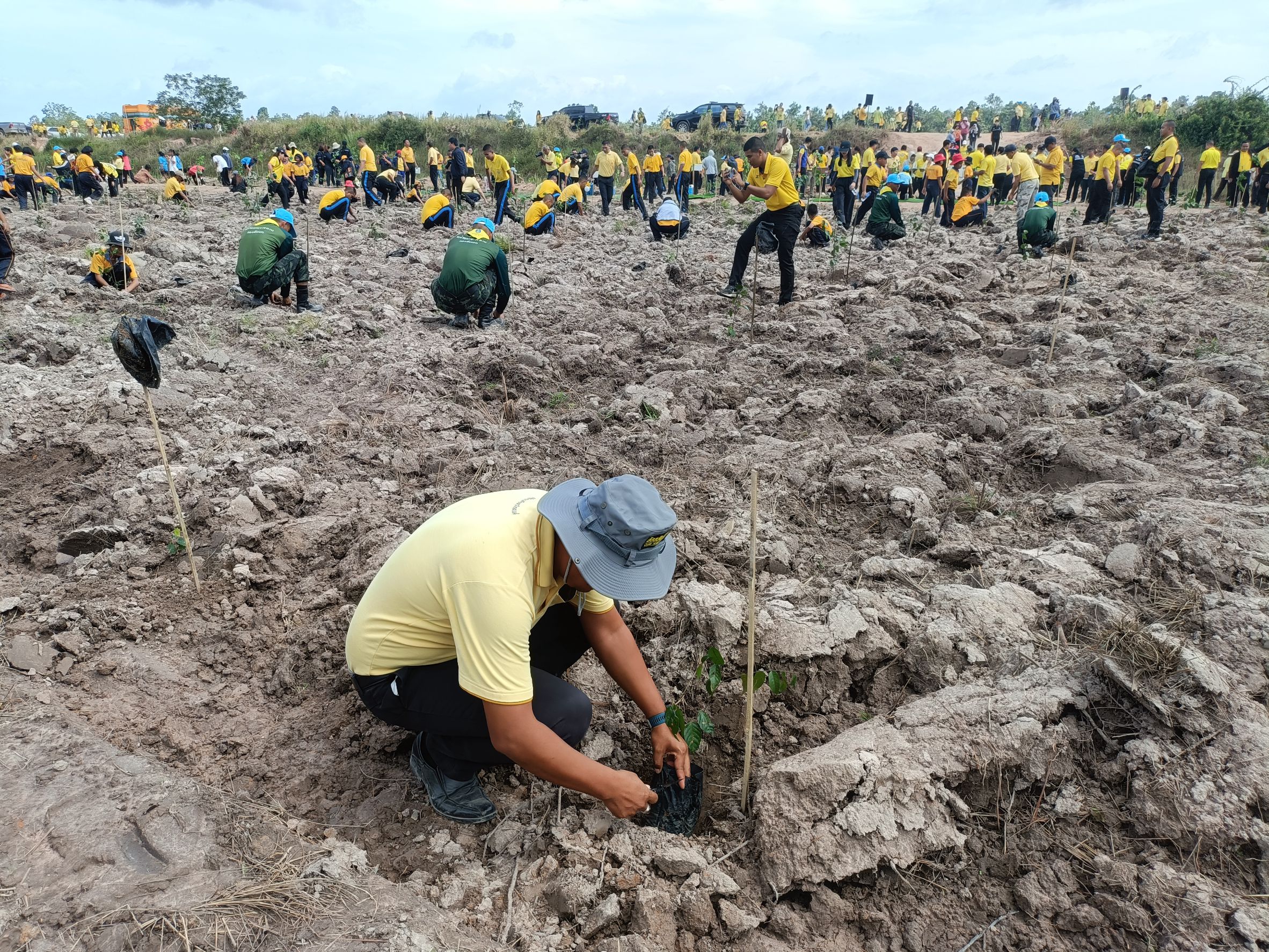📣พช.สุราษฎร์ธานี ร่วมกิจกรรมปลูกต้นไม้ ภายใต้ “โครงการปลูกป่าเฉลิมพระเกียรติ เนื่องในโอกาสวันเฉลิมพระชนมพรรษา พระบาทสมเด็จพระเจ้าอยู่หัว 28 กรกฎาคม 2568