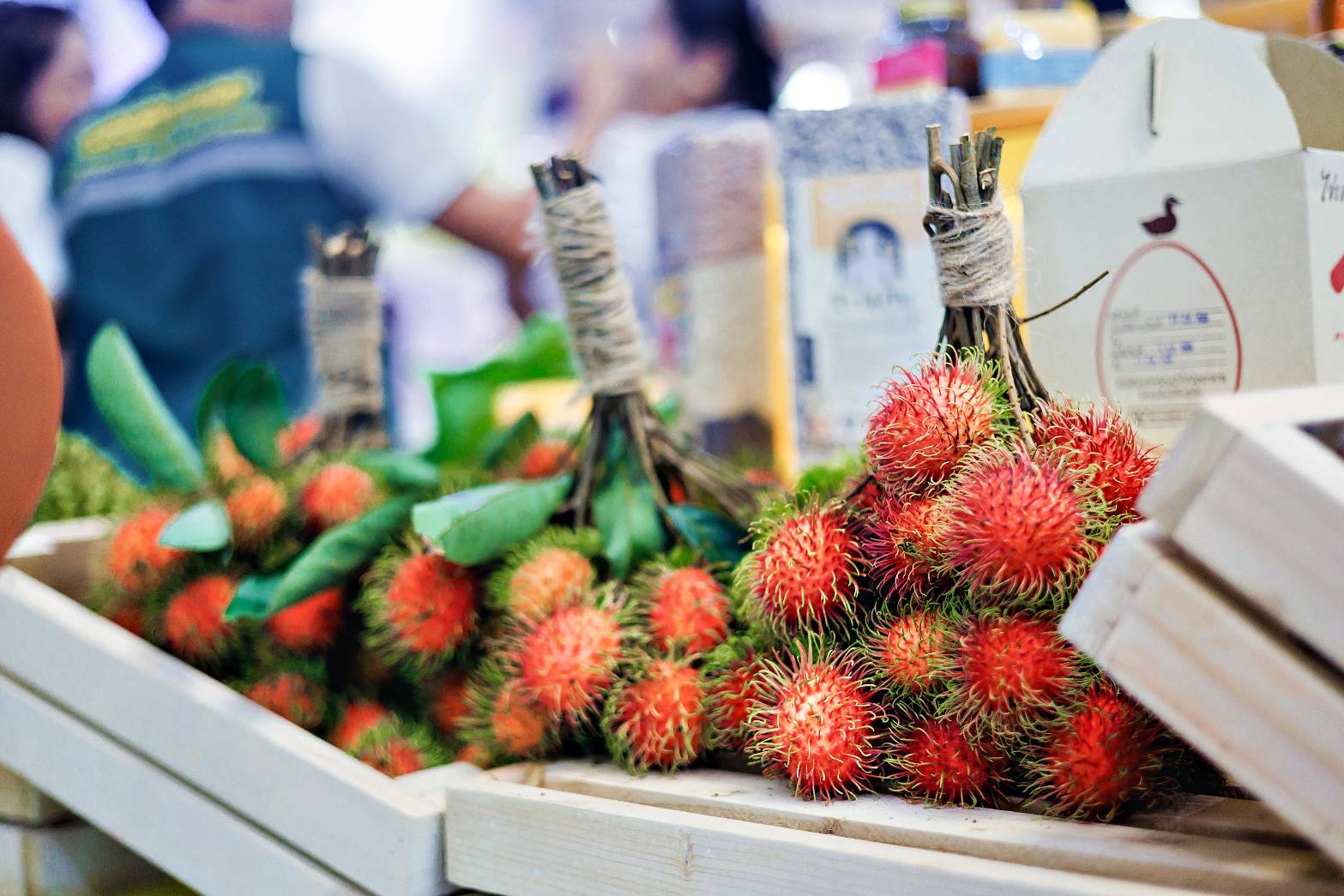 พช.สุราษฎร์ธานี ร่วมงานแถลงข่าว งานเกษตรเมืองคนดี วิถีเกษตรยั่งยืน