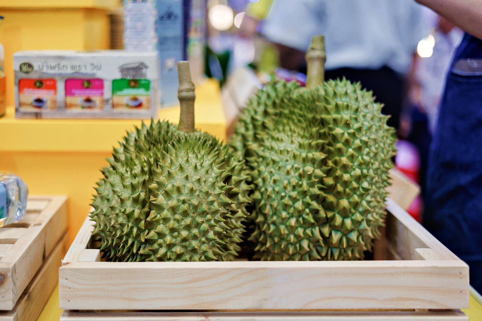 พช.สุราษฎร์ธานี ร่วมงานแถลงข่าว งานเกษตรเมืองคนดี วิถีเกษตรยั่งยืน