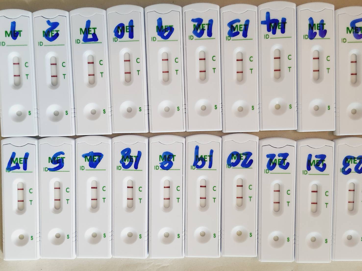 📣พช.สุราษฎร์ธานี ขานรับนโยบาย “Seal Stop Safe” นำเจ้าหน้าที่ พช. ร่วมโครงการมหาดไทยสีขาว สร้างพื้นที่ปลอดภัย หยุดยั้งยาเสพติด (Safe Zone No Drugs) ตรวจสารเสพติดบุคลากรในสังกัด