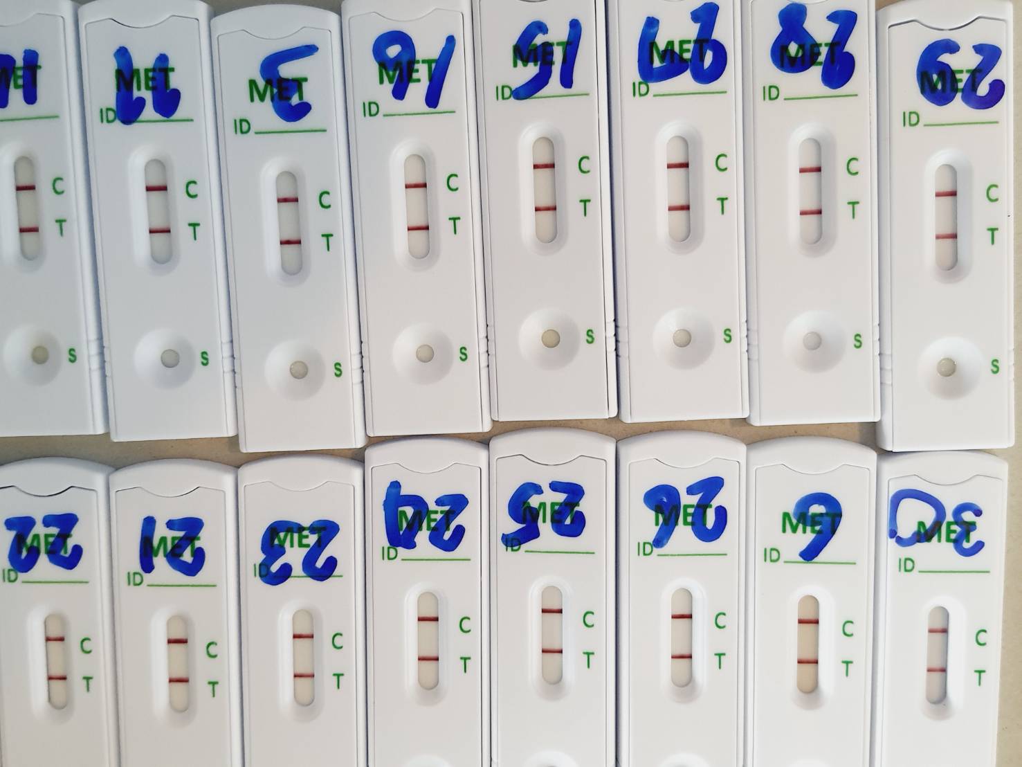 📣พช.สุราษฎร์ธานี ขานรับนโยบาย “Seal Stop Safe” นำเจ้าหน้าที่ พช. ร่วมโครงการมหาดไทยสีขาว สร้างพื้นที่ปลอดภัย หยุดยั้งยาเสพติด (Safe Zone No Drugs) ตรวจสารเสพติดบุคลากรในสังกัด