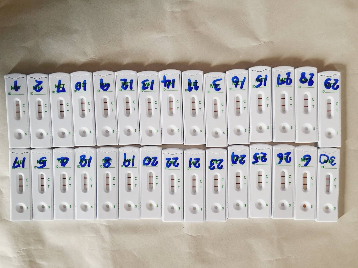 📣พช.สุราษฎร์ธานี ขานรับนโยบาย “Seal Stop Safe” นำเจ้าหน้าที่ พช. ร่วมโครงการมหาดไทยสีขาว สร้างพื้นที่ปลอดภัย หยุดยั้งยาเสพติด (Safe Zone No Drugs) ตรวจสารเสพติดบุคลากรในสังกัด