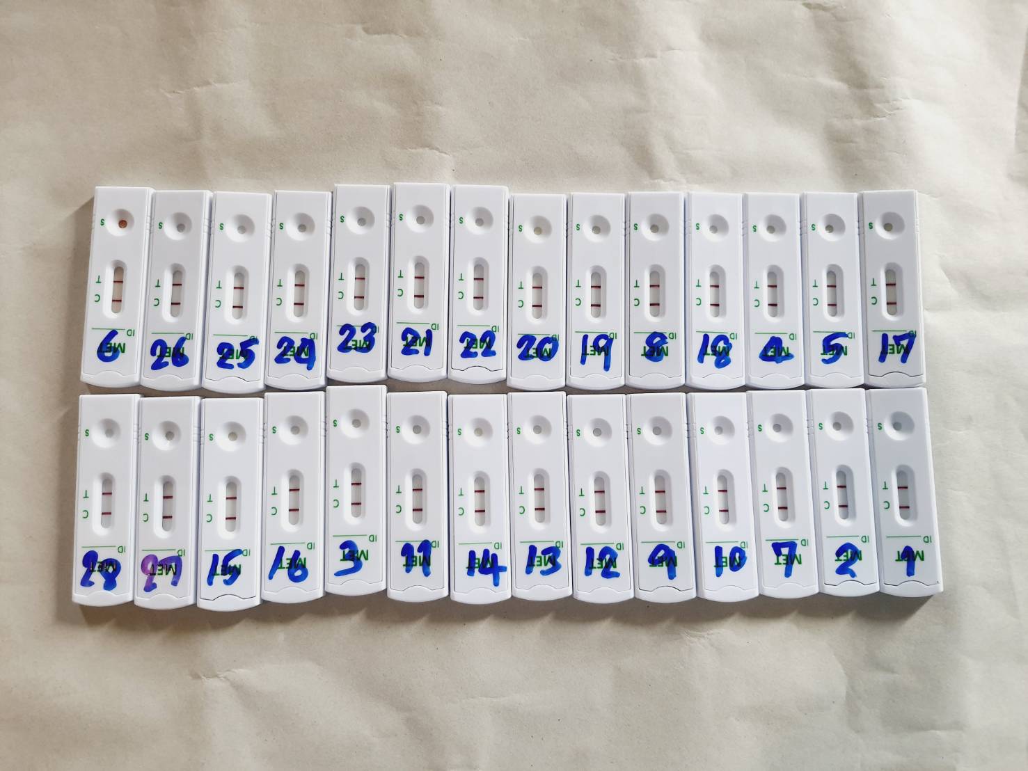 📣พช.สุราษฎร์ธานี ขานรับนโยบาย “Seal Stop Safe” นำเจ้าหน้าที่ พช. ร่วมโครงการมหาดไทยสีขาว สร้างพื้นที่ปลอดภัย หยุดยั้งยาเสพติด (Safe Zone No Drugs) ตรวจสารเสพติดบุคลากรในสังกัด