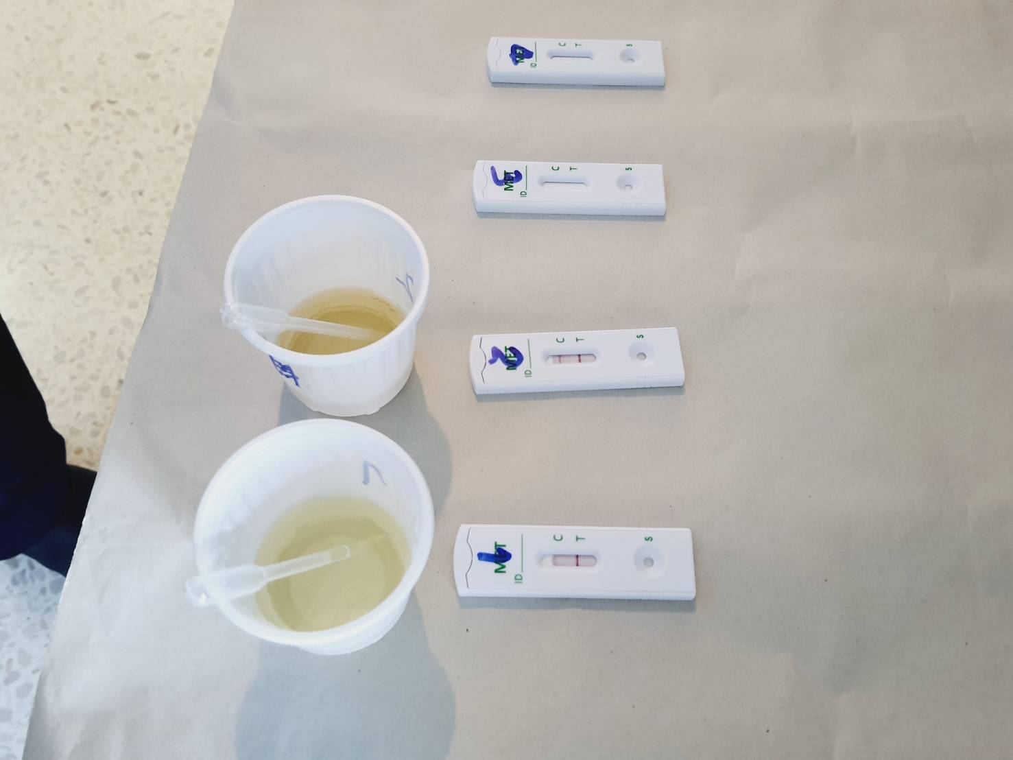 📣พช.สุราษฎร์ธานี ขานรับนโยบาย “Seal Stop Safe” นำเจ้าหน้าที่ พช. ร่วมโครงการมหาดไทยสีขาว สร้างพื้นที่ปลอดภัย หยุดยั้งยาเสพติด (Safe Zone No Drugs) ตรวจสารเสพติดบุคลากรในสังกัด