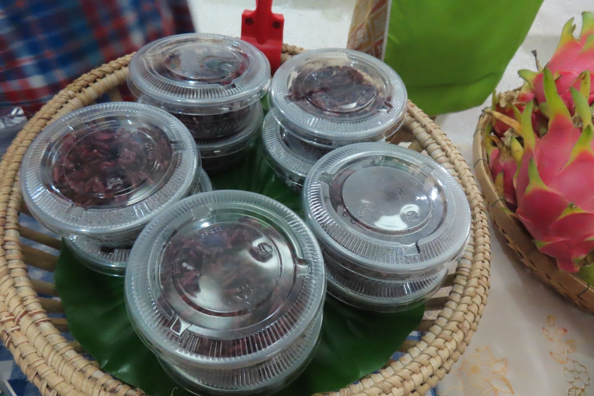 📣พช.สุราษฎร์ธานี จัดพิธีมอบประกาศเกียรติคุณคนกองทุนพัฒนาบทบาทสตรีดีเด่นระดับจังหวัด ตามโครงการเชิดชูเกียรติคนกองทุนพัฒนาบทบาทสตรี ประจำปี 2568 และประกาศเกียรติคุณสตรีดีเด่นการขับเคลื่อนนโยบายกระทรวงมหาดไทย ประจำปี 2568