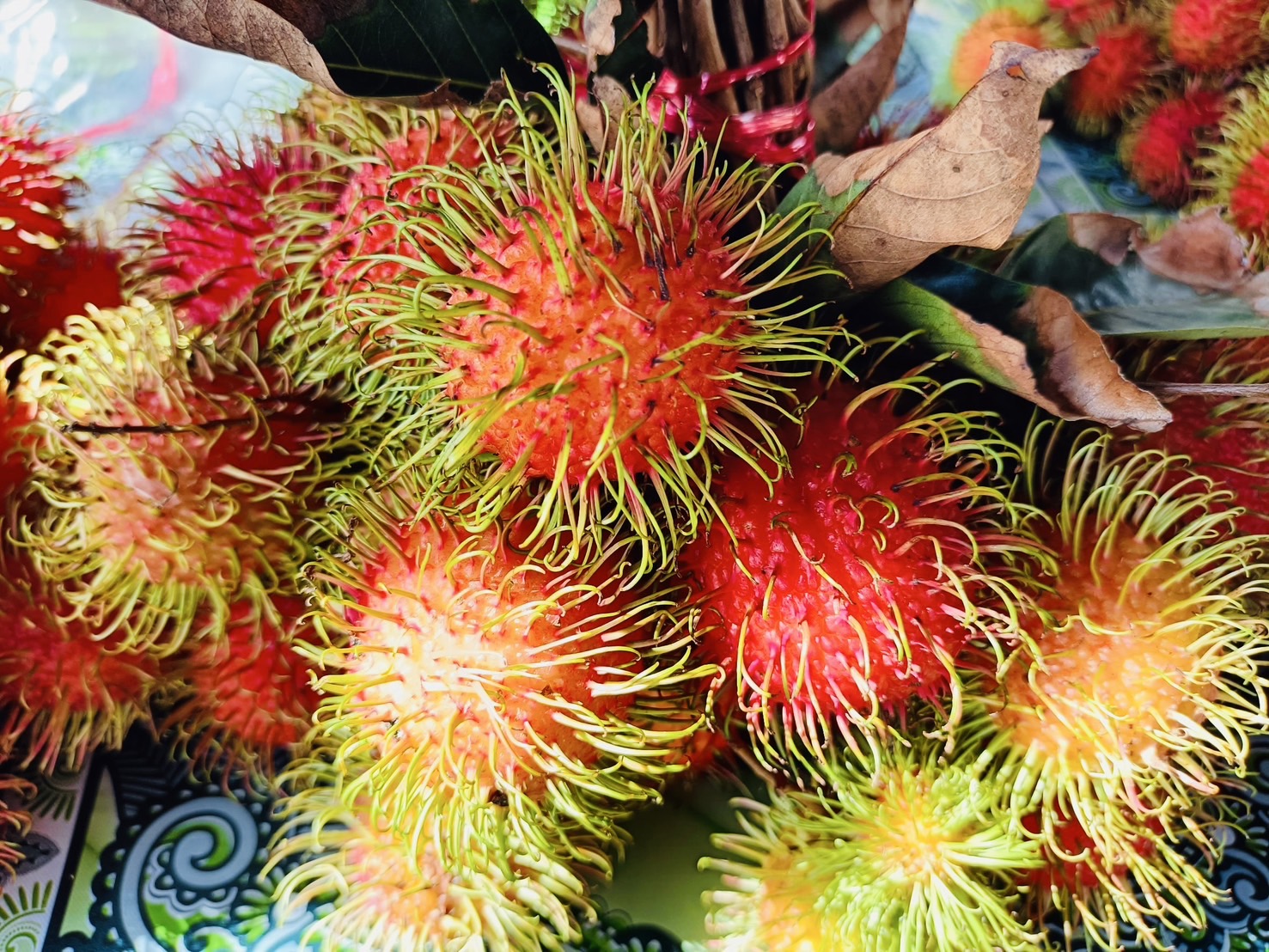 ของดีจากชุมชน ! พช.สุราษฎร์ร่วมกับท่องเที่ยวและกีฬาสุราษฎร์ เทศบาลเมืองนาสาร ส่งเสริมผลิตภัณฑ์ OTOP ในงานเงาะโรงเรียนนาสาร GI สุราษฎร์ธานี ประจำปี 2568