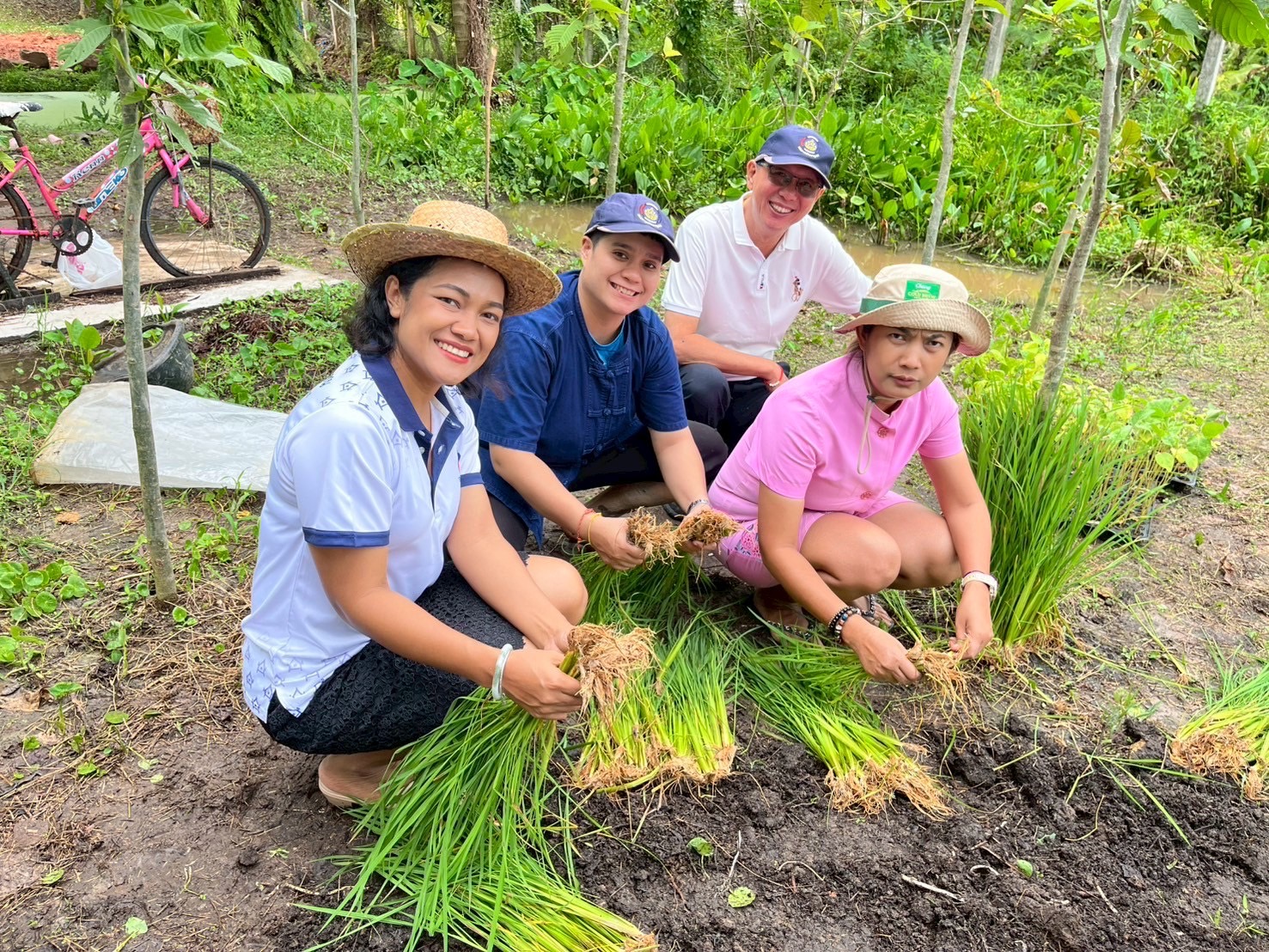 พันธุ์ข้าวพื้นถิ่น “หอมไชยา” ขยายผลสู่ โคก หนองนา